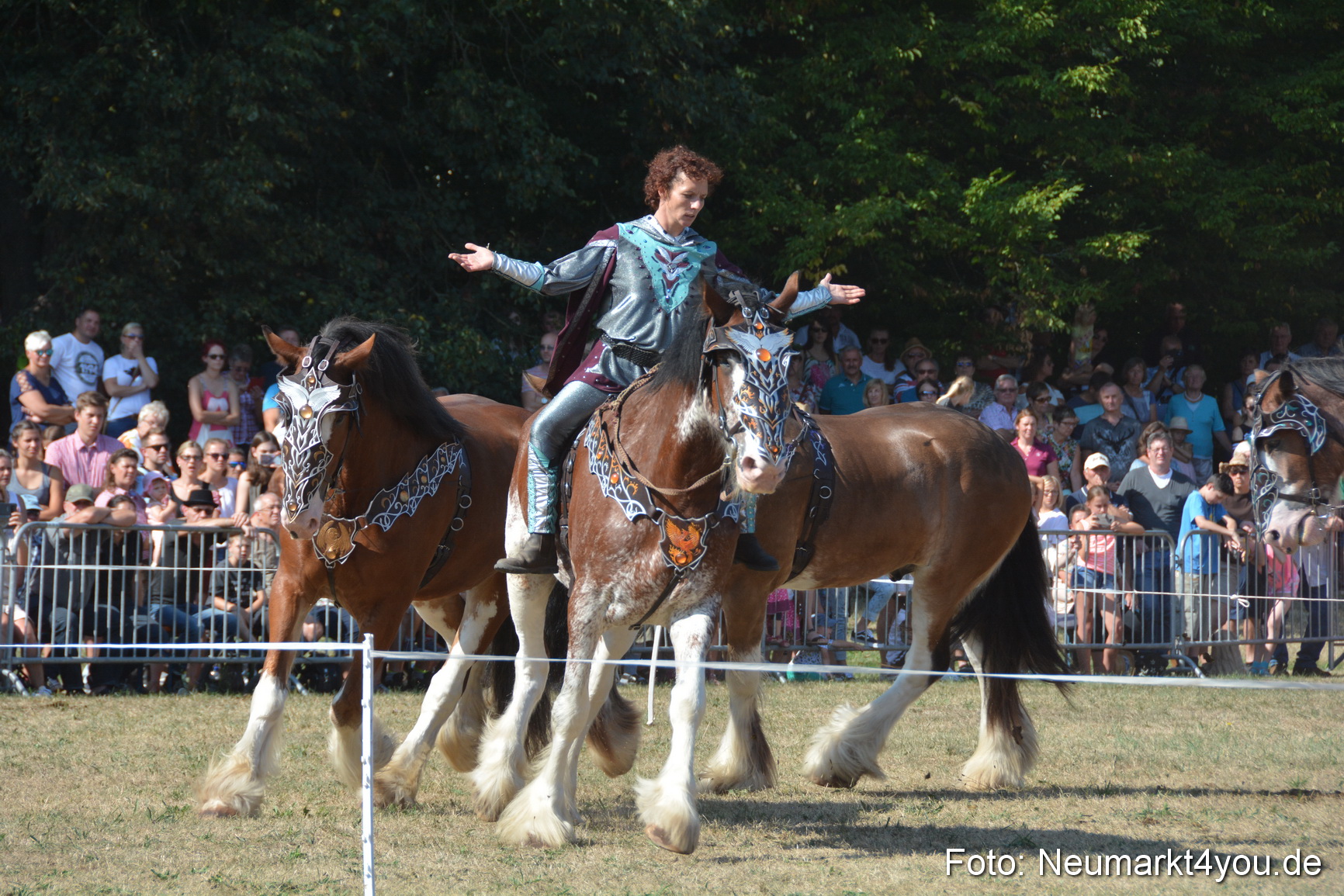 Pferde und Fohlenschau JURA Volksfest 2018 0216