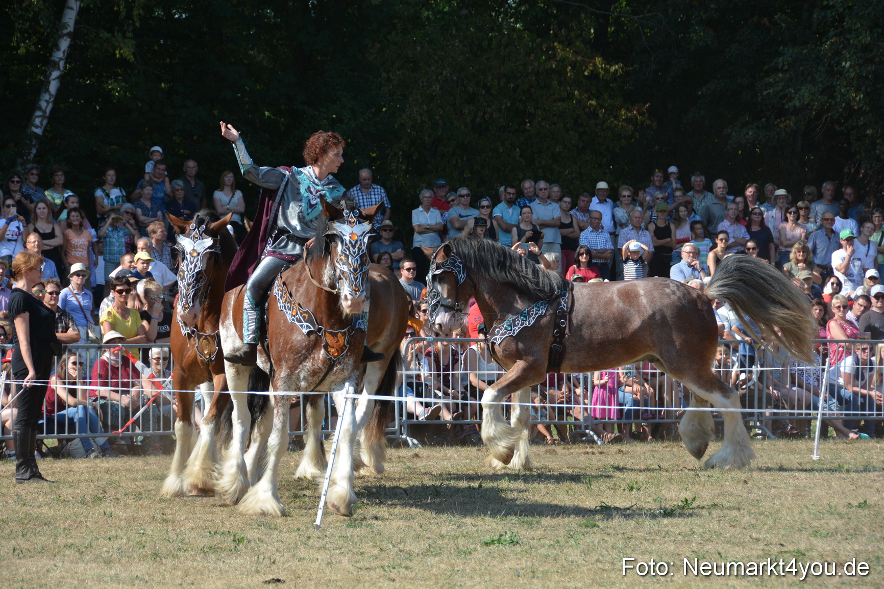 Pferde und Fohlenschau JURA Volksfest 2018 0218