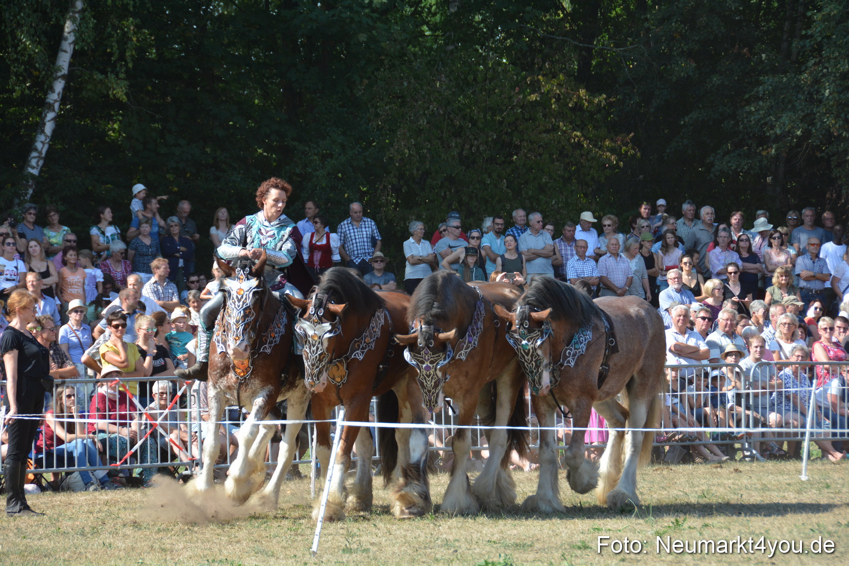 Pferde und Fohlenschau JURA Volksfest 2018 0219