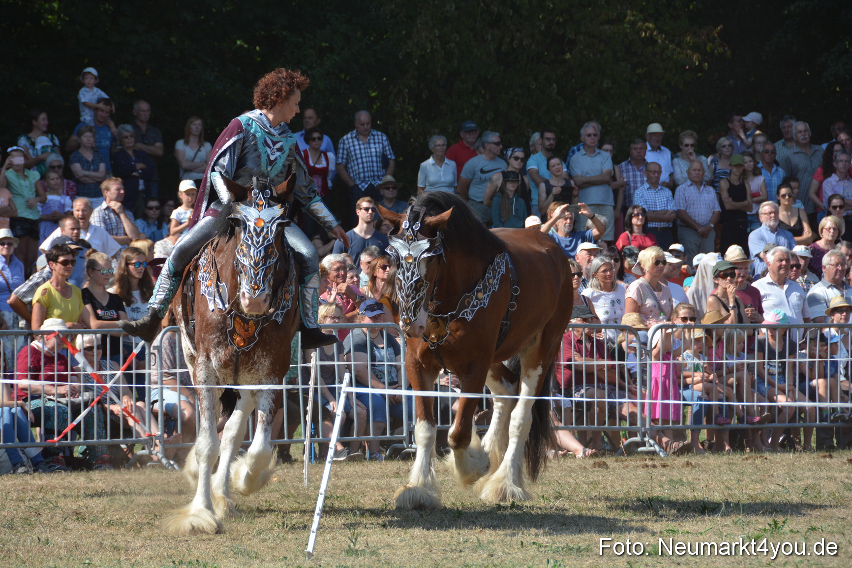 Pferde und Fohlenschau JURA Volksfest 2018 0220