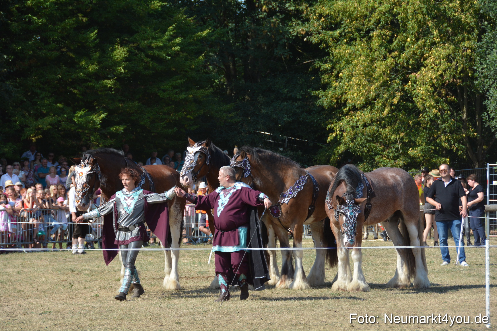 Pferde und Fohlenschau JURA Volksfest 2018 0221