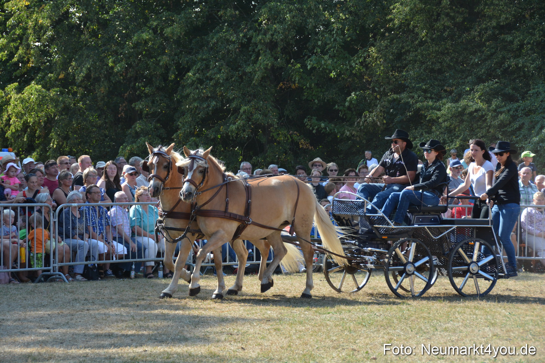 Pferde und Fohlenschau JURA Volksfest 2018 0222