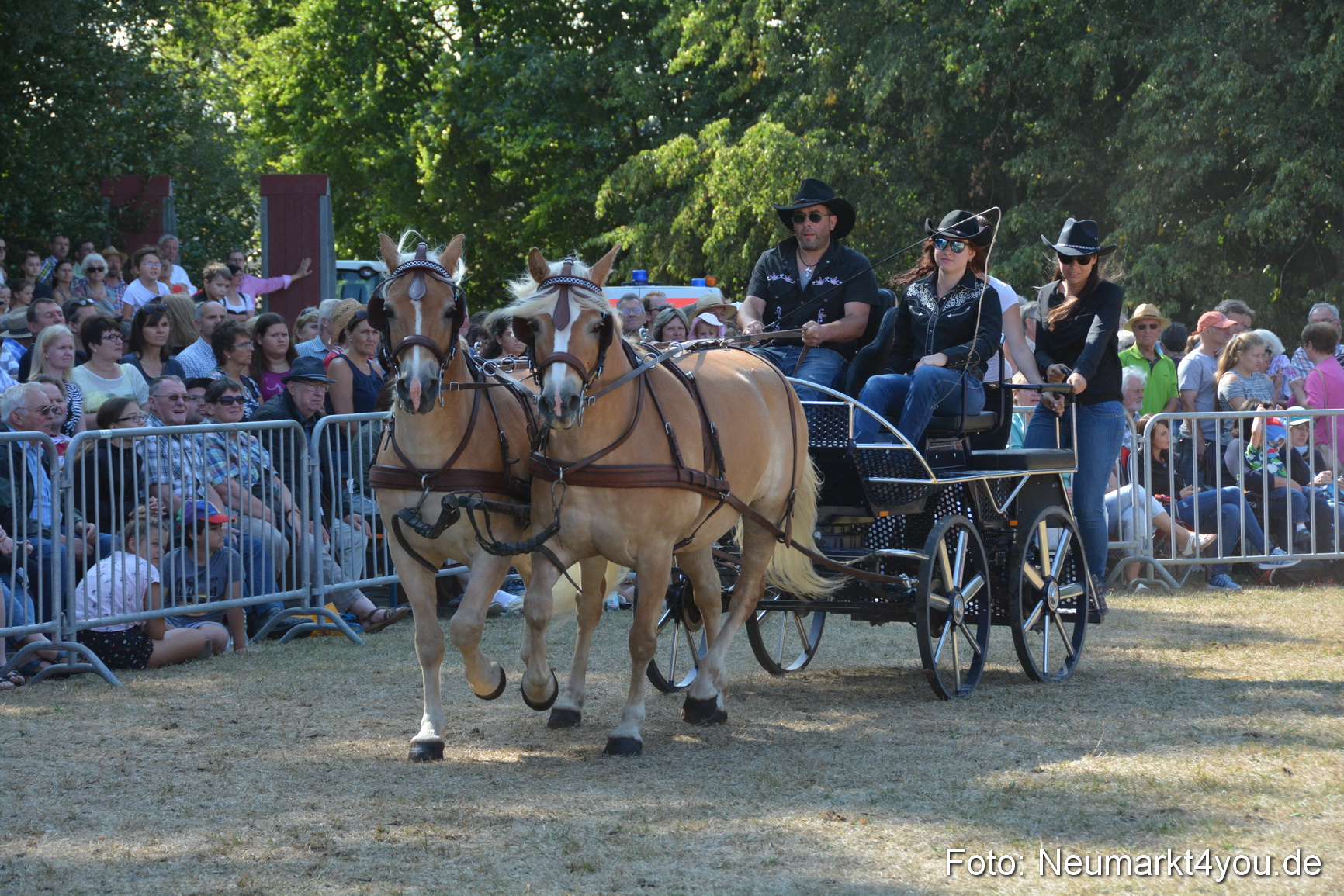 Pferde und Fohlenschau JURA Volksfest 2018 0223