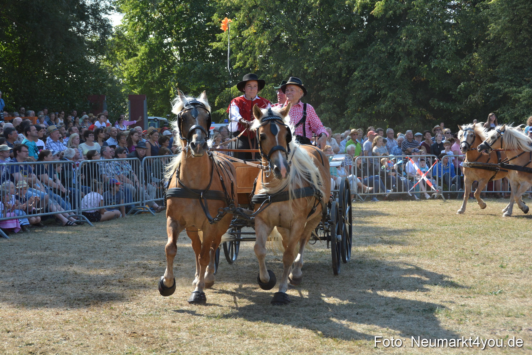 Pferde und Fohlenschau JURA Volksfest 2018 0224