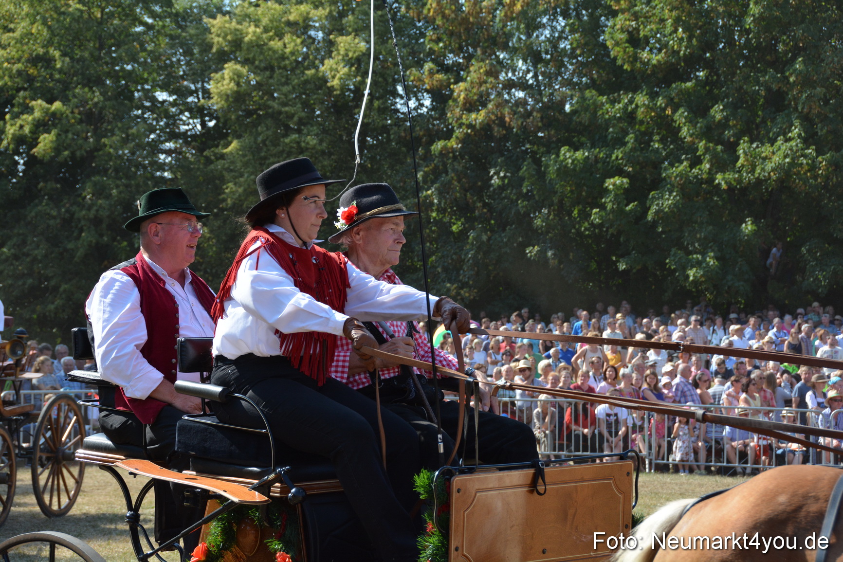 Pferde und Fohlenschau JURA Volksfest 2018 0225