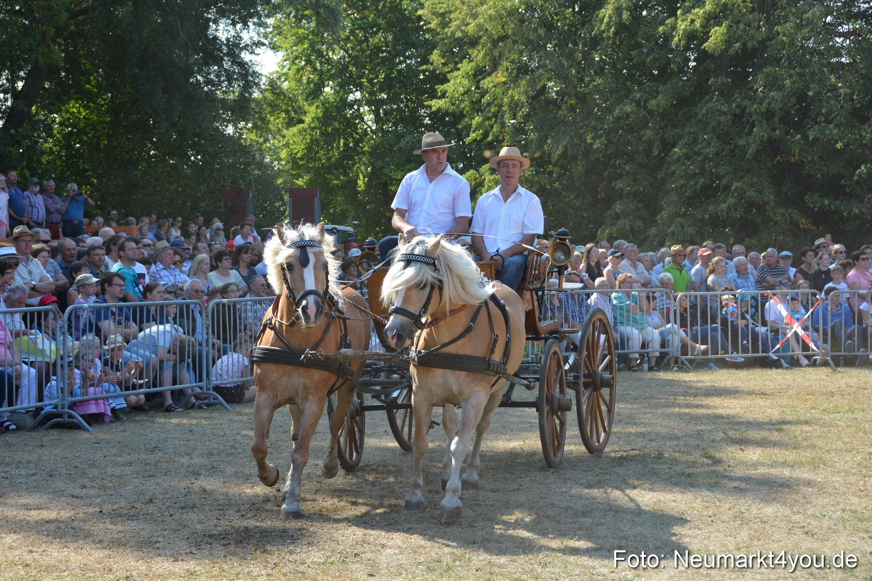 Pferde und Fohlenschau JURA Volksfest 2018 0226