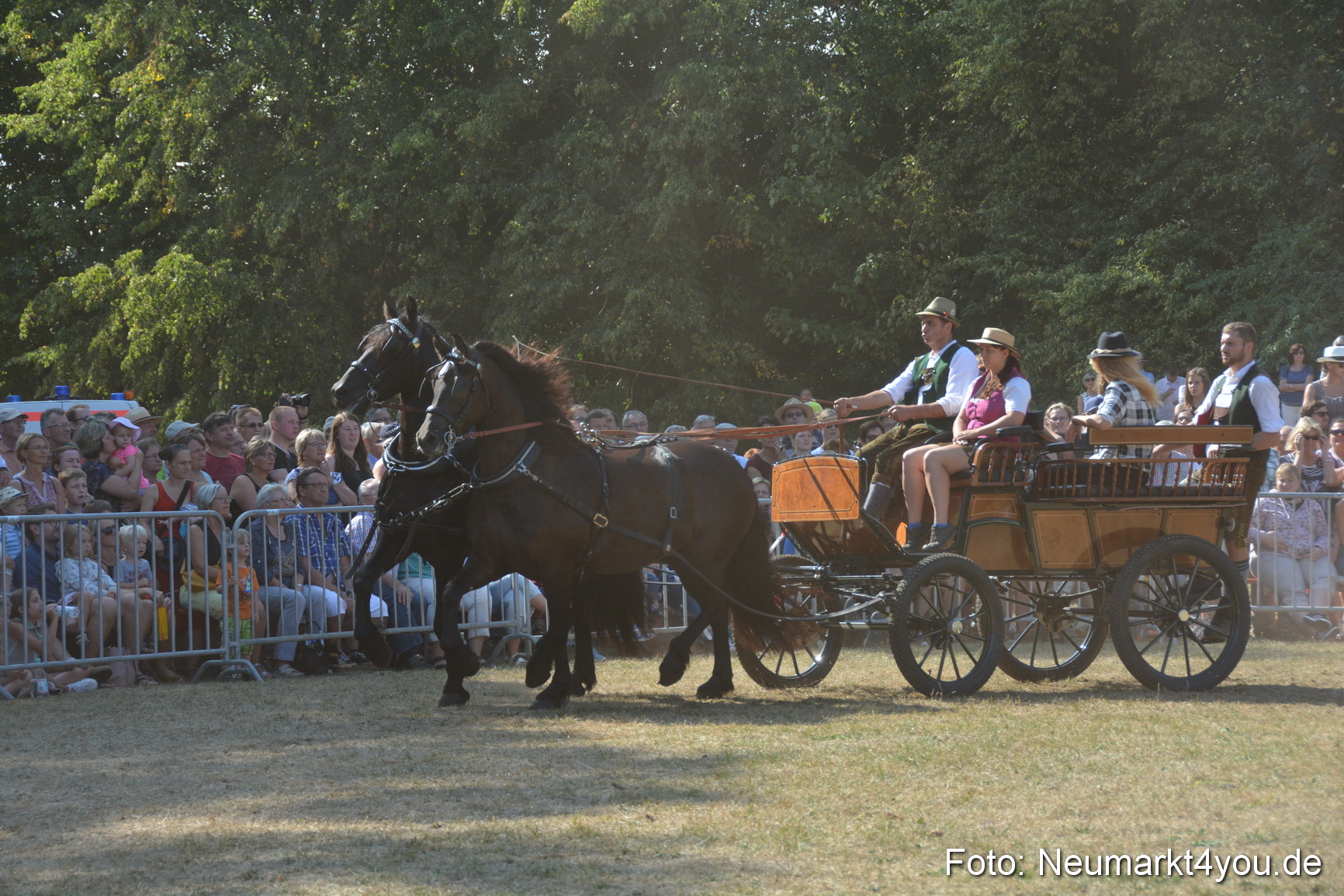 Pferde und Fohlenschau JURA Volksfest 2018 0227