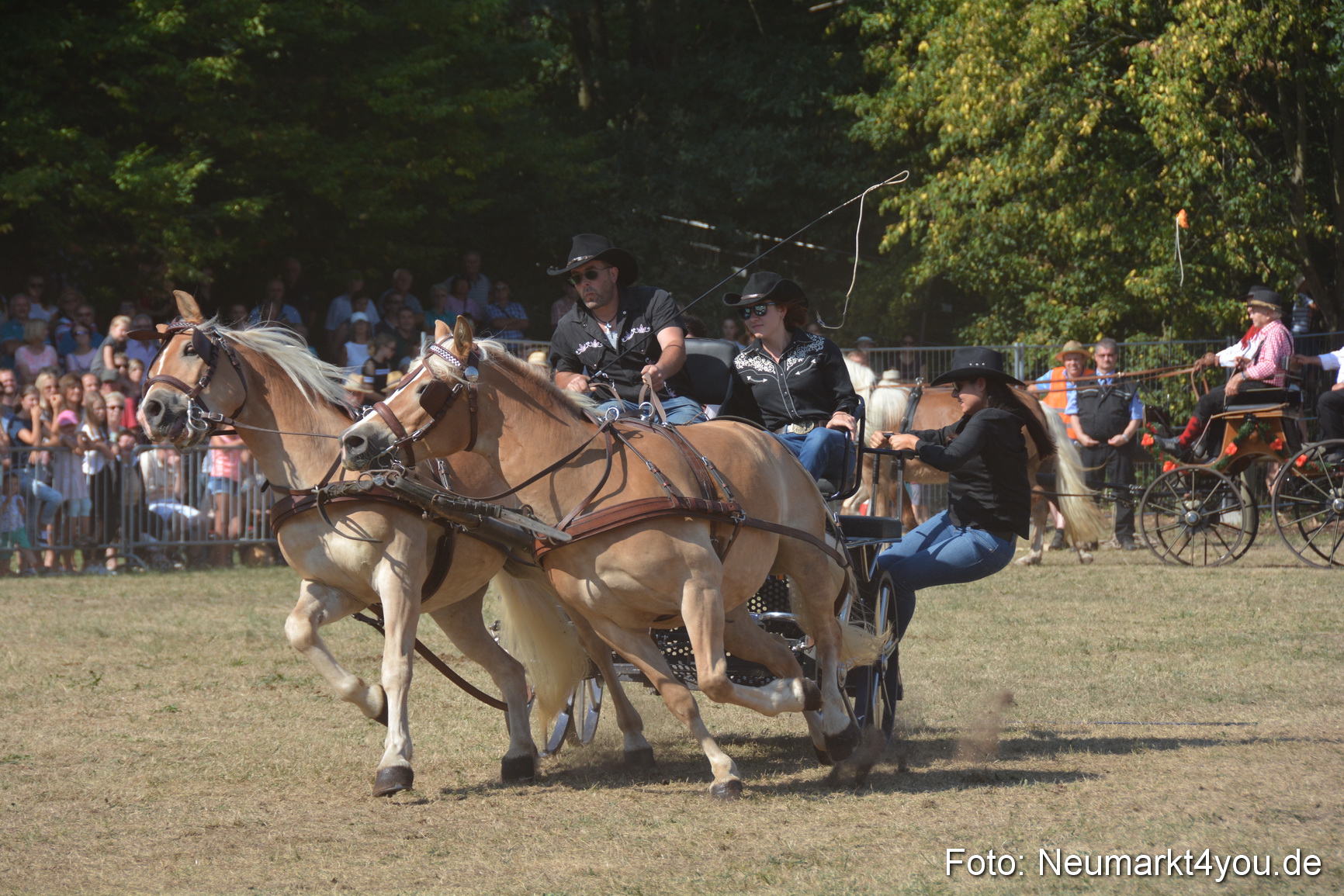 Pferde und Fohlenschau JURA Volksfest 2018 0229