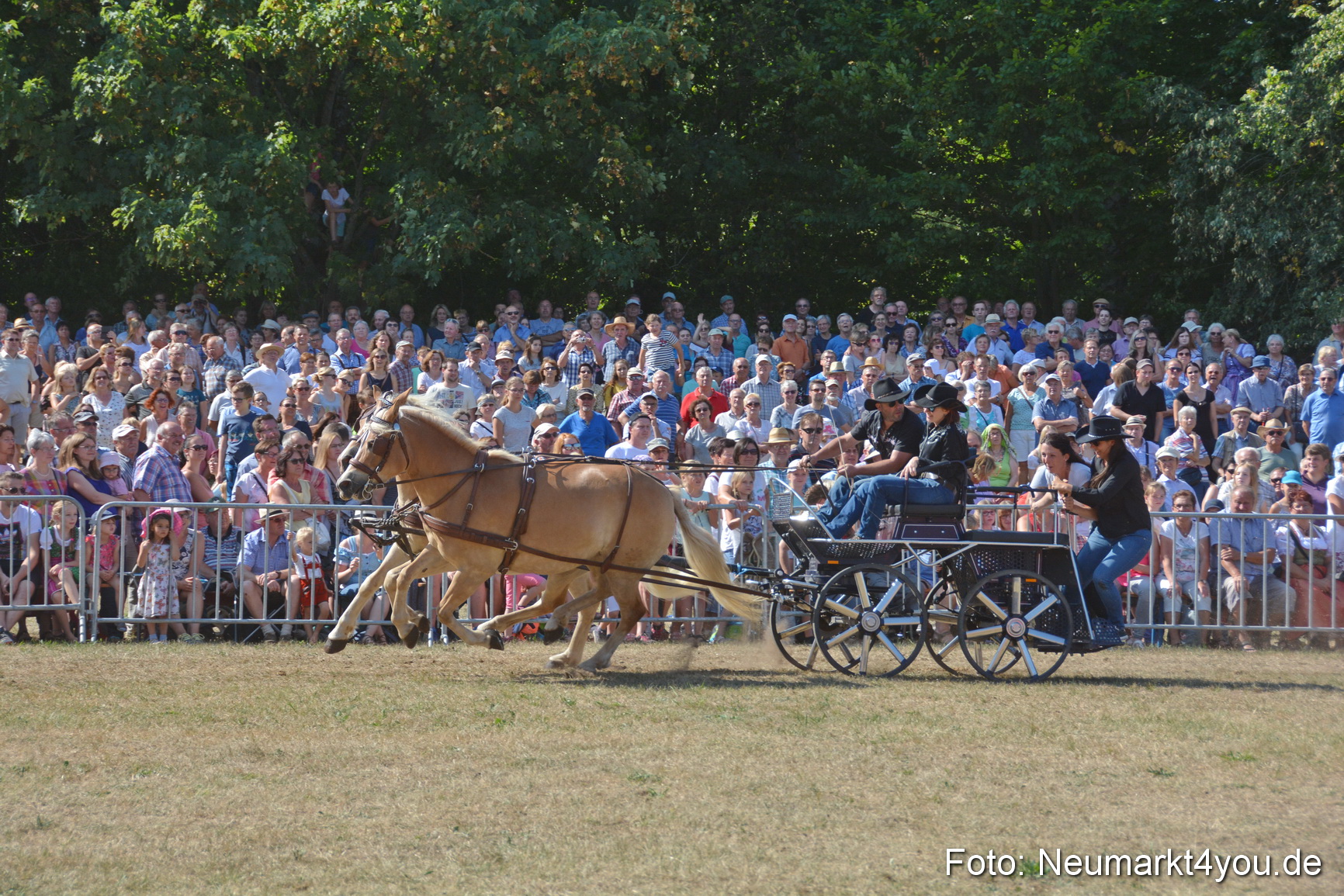 Pferde und Fohlenschau JURA Volksfest 2018 0230