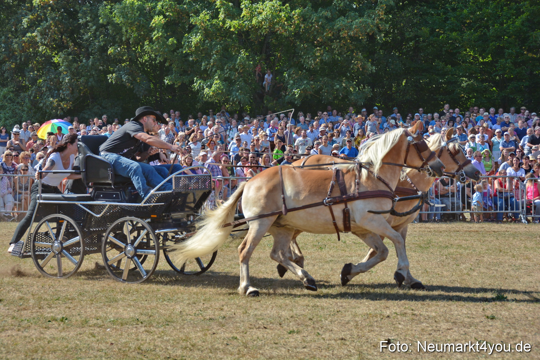 Pferde und Fohlenschau JURA Volksfest 2018 0232