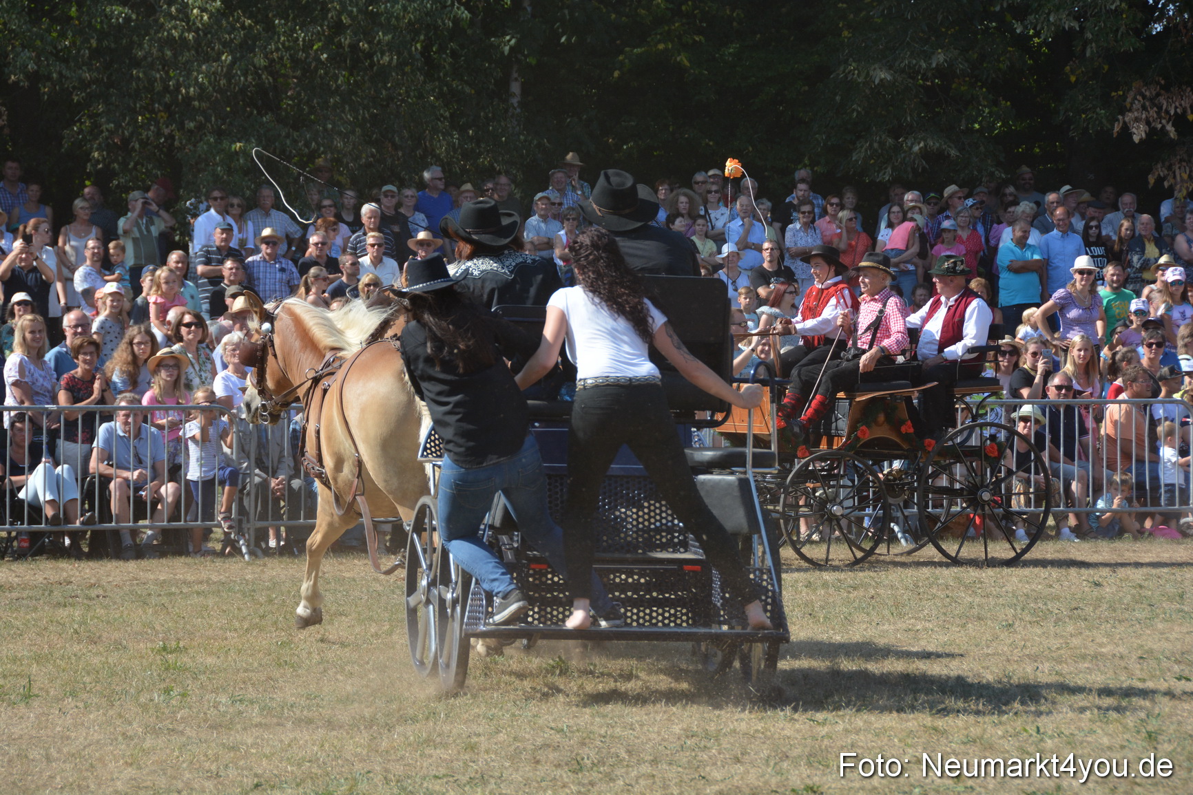 Pferde und Fohlenschau JURA Volksfest 2018 0233