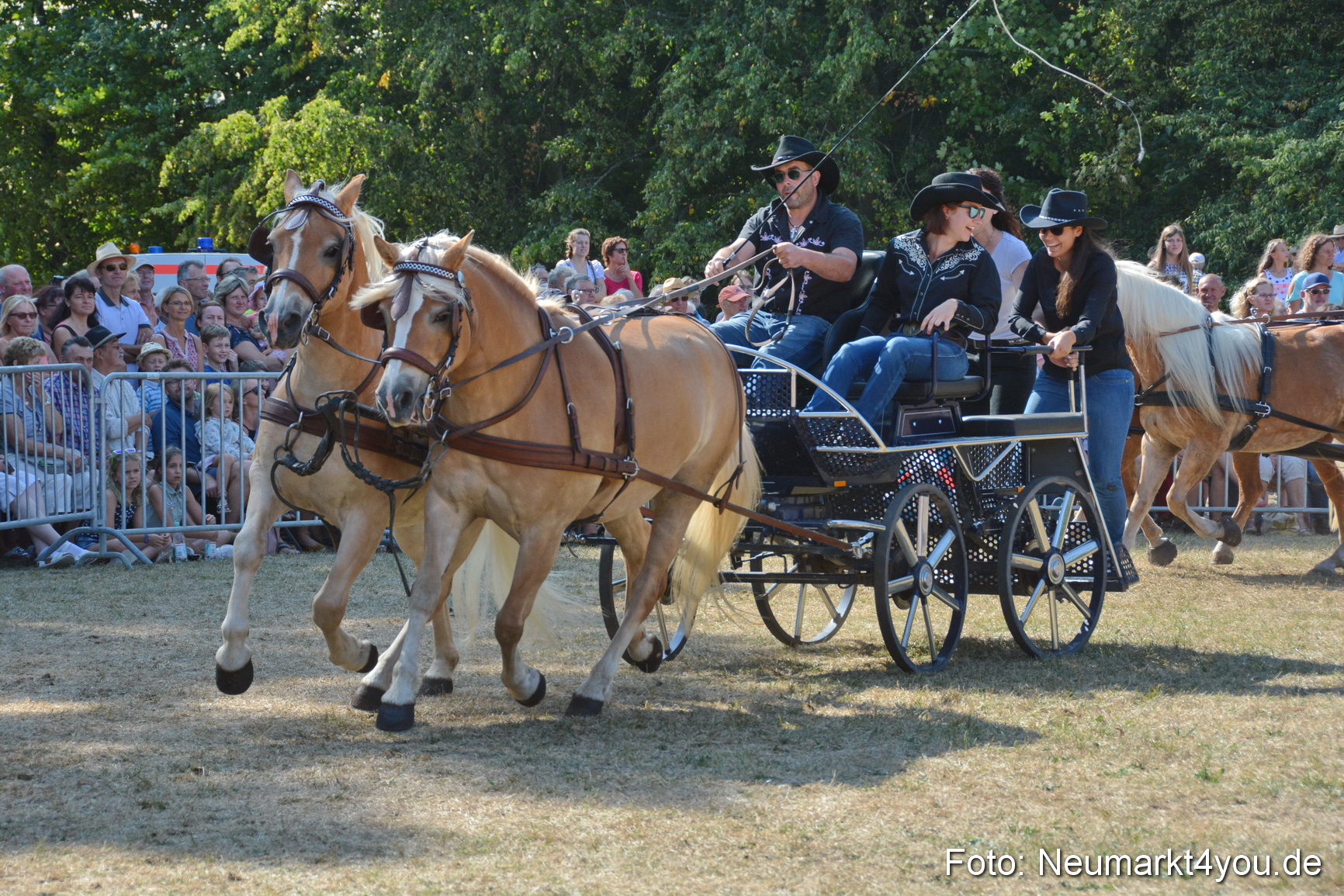 Pferde und Fohlenschau JURA Volksfest 2018 0234
