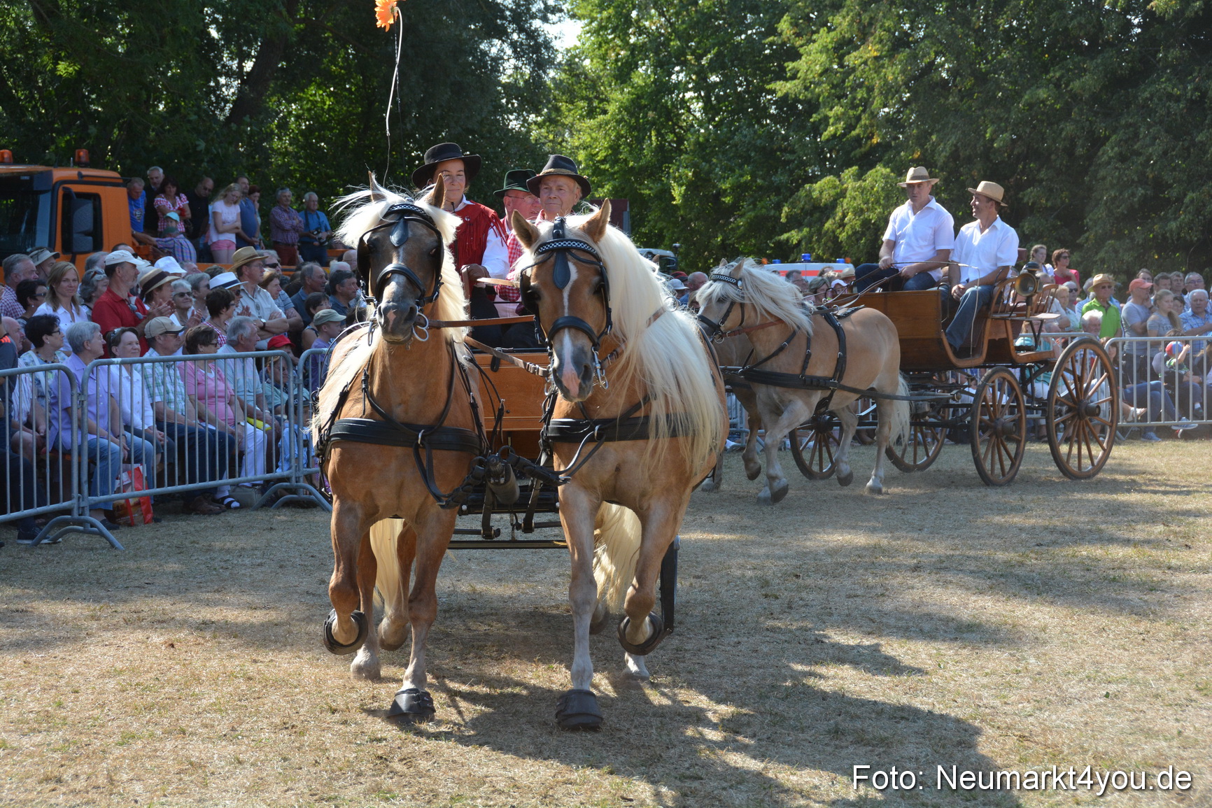 Pferde und Fohlenschau JURA Volksfest 2018 0235