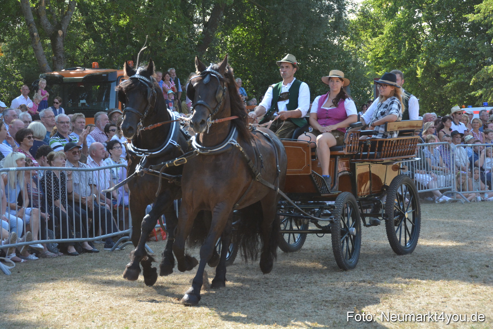 Pferde und Fohlenschau JURA Volksfest 2018 0236