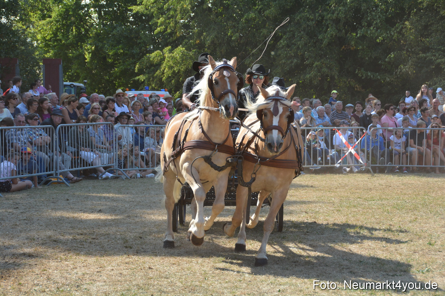 Pferde und Fohlenschau JURA Volksfest 2018 0237
