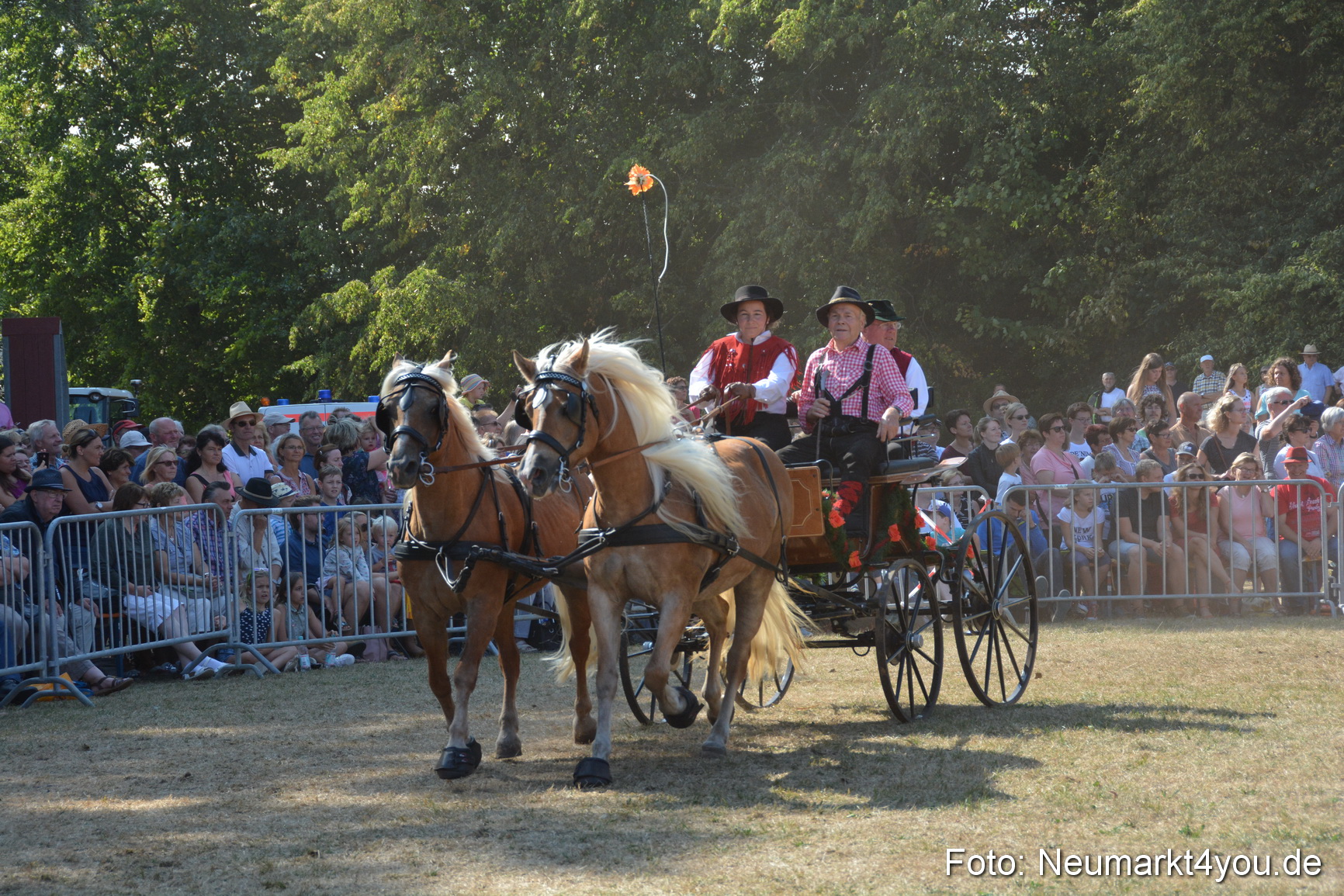 Pferde und Fohlenschau JURA Volksfest 2018 0239