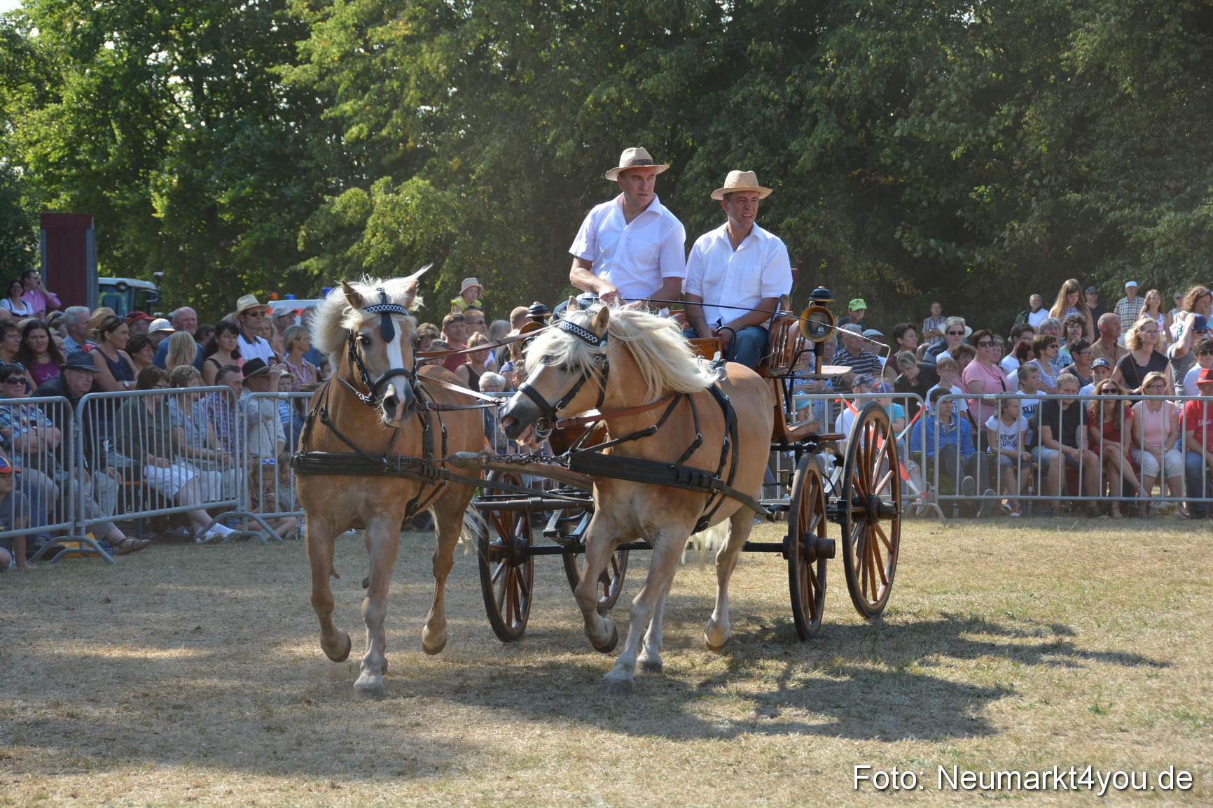 Pferde und Fohlenschau JURA Volksfest 2018 0240
