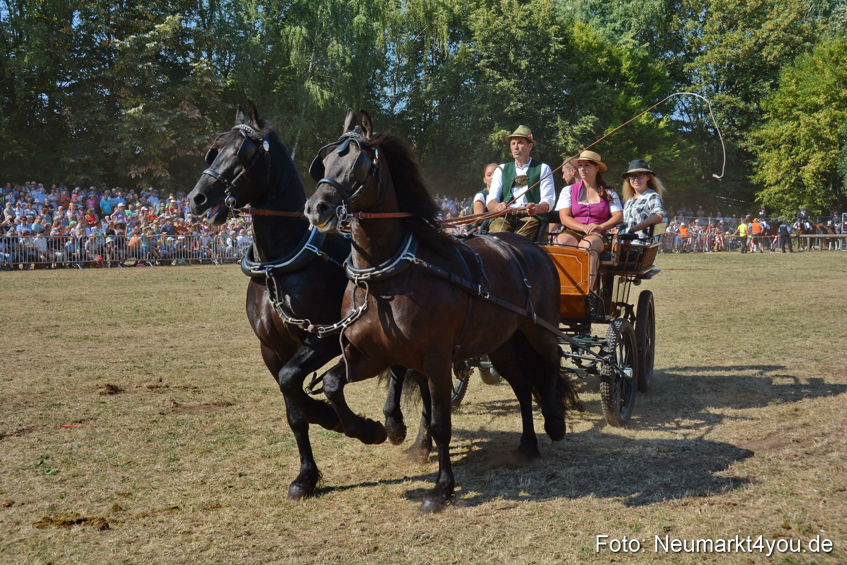 Pferde und Fohlenschau JURA Volksfest 2018 0242