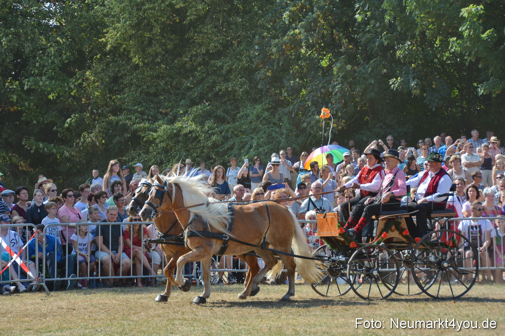 Pferde und Fohlenschau JURA Volksfest 2018 0243