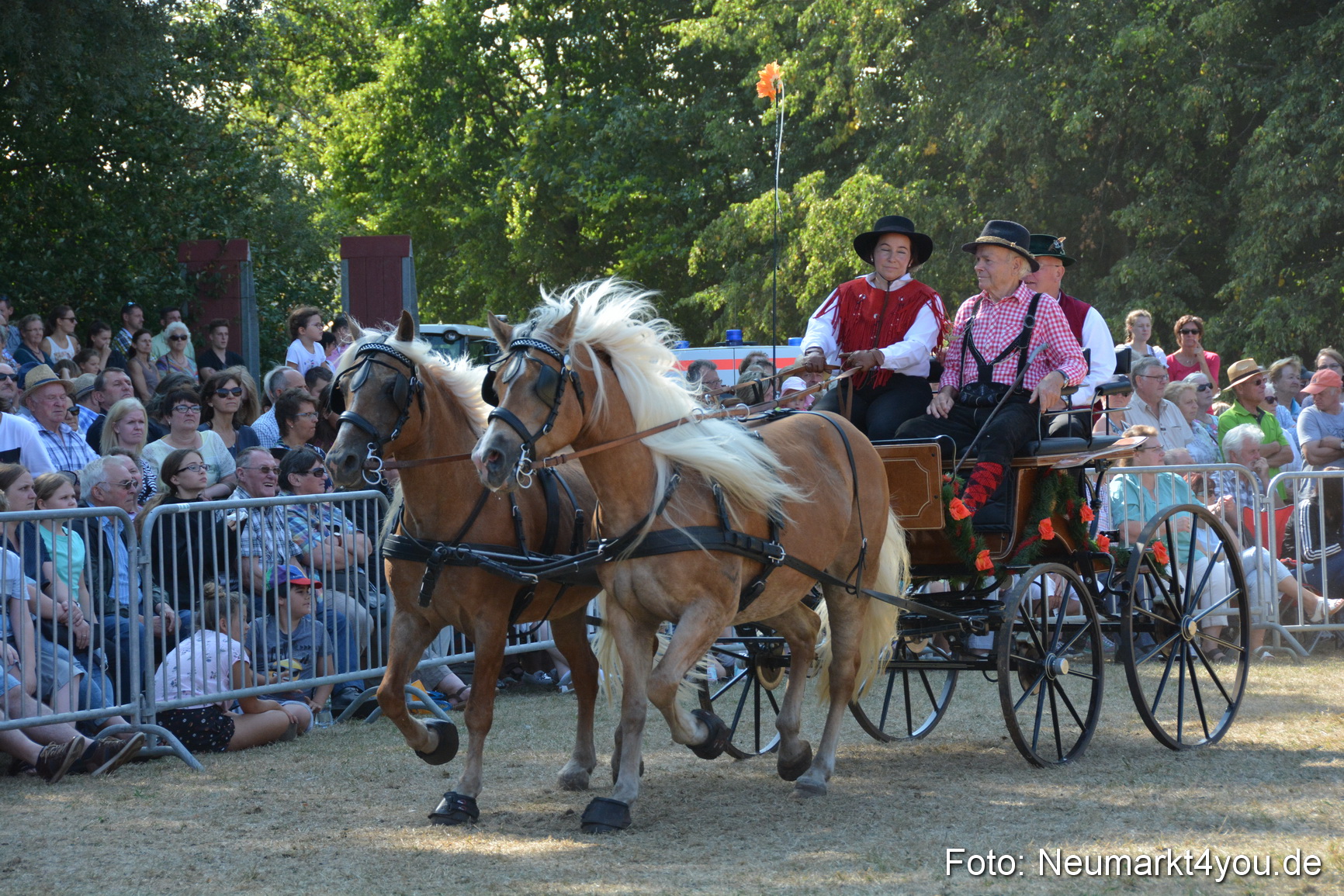 Pferde und Fohlenschau JURA Volksfest 2018 0244