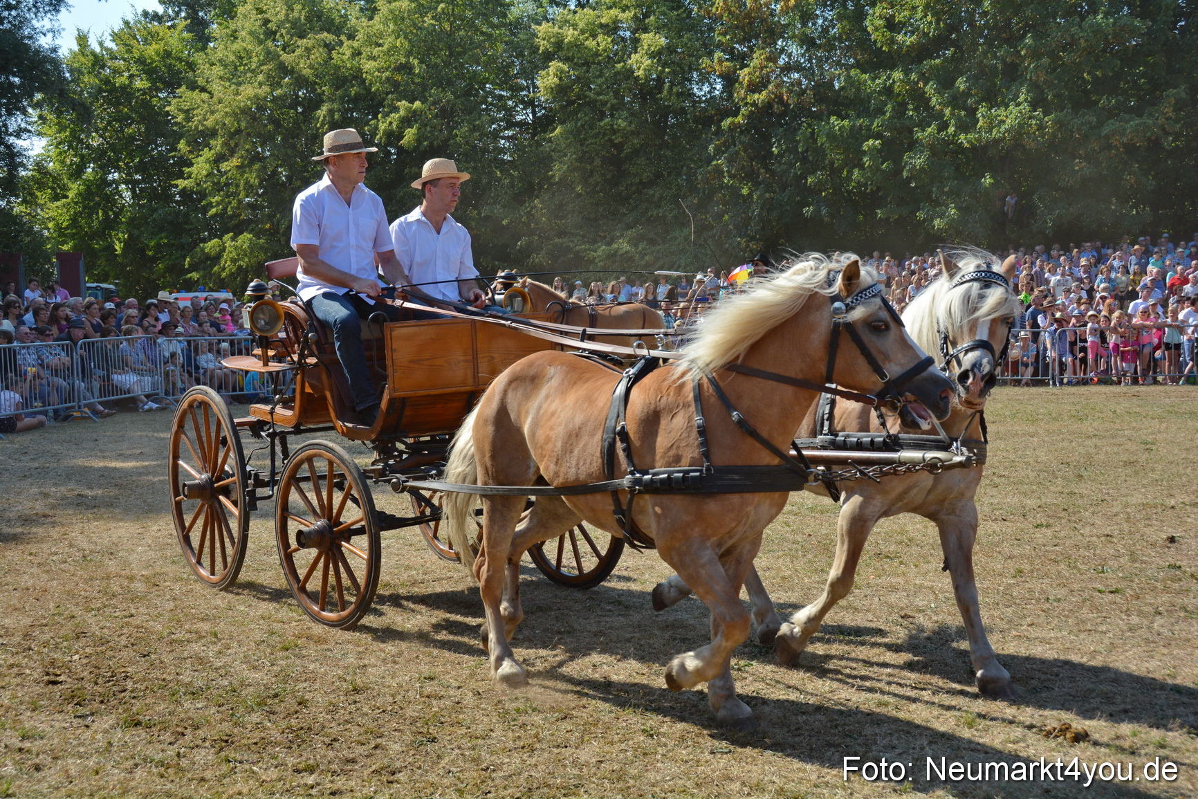 Pferde und Fohlenschau JURA Volksfest 2018 0245