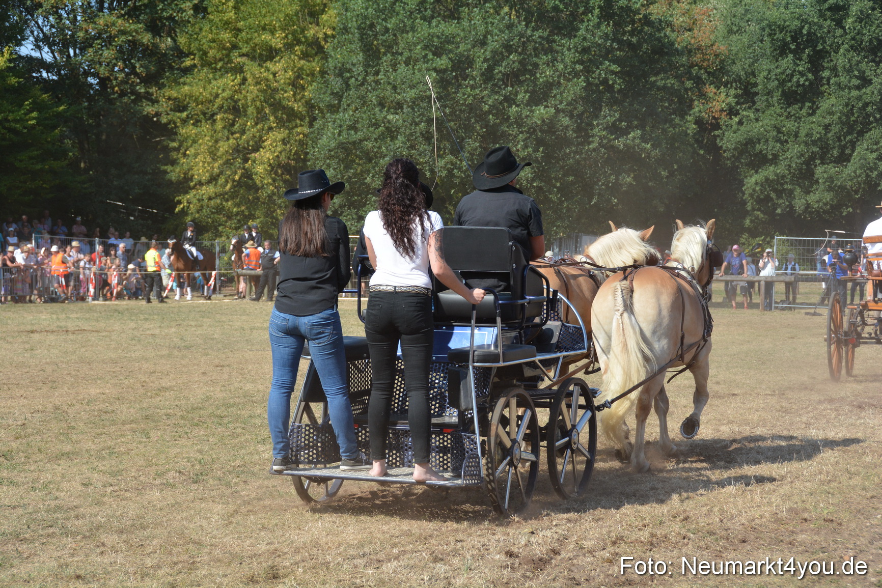 Pferde und Fohlenschau JURA Volksfest 2018 0246