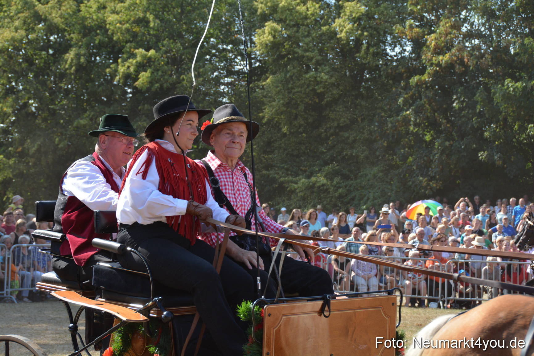 Pferde und Fohlenschau JURA Volksfest 2018 0247
