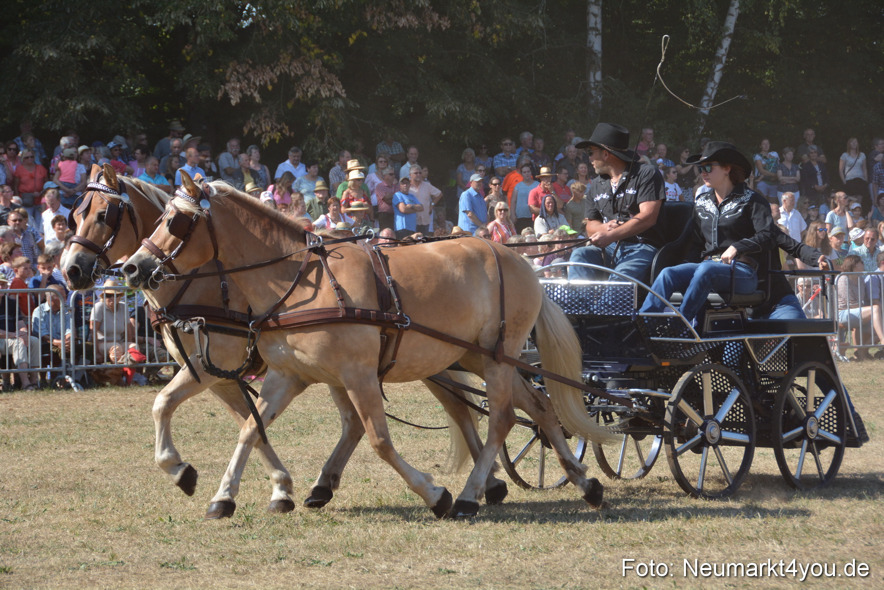 Pferde und Fohlenschau JURA Volksfest 2018 0249