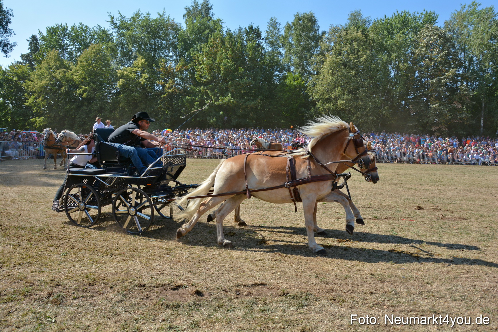 Pferde und Fohlenschau JURA Volksfest 2018 0250