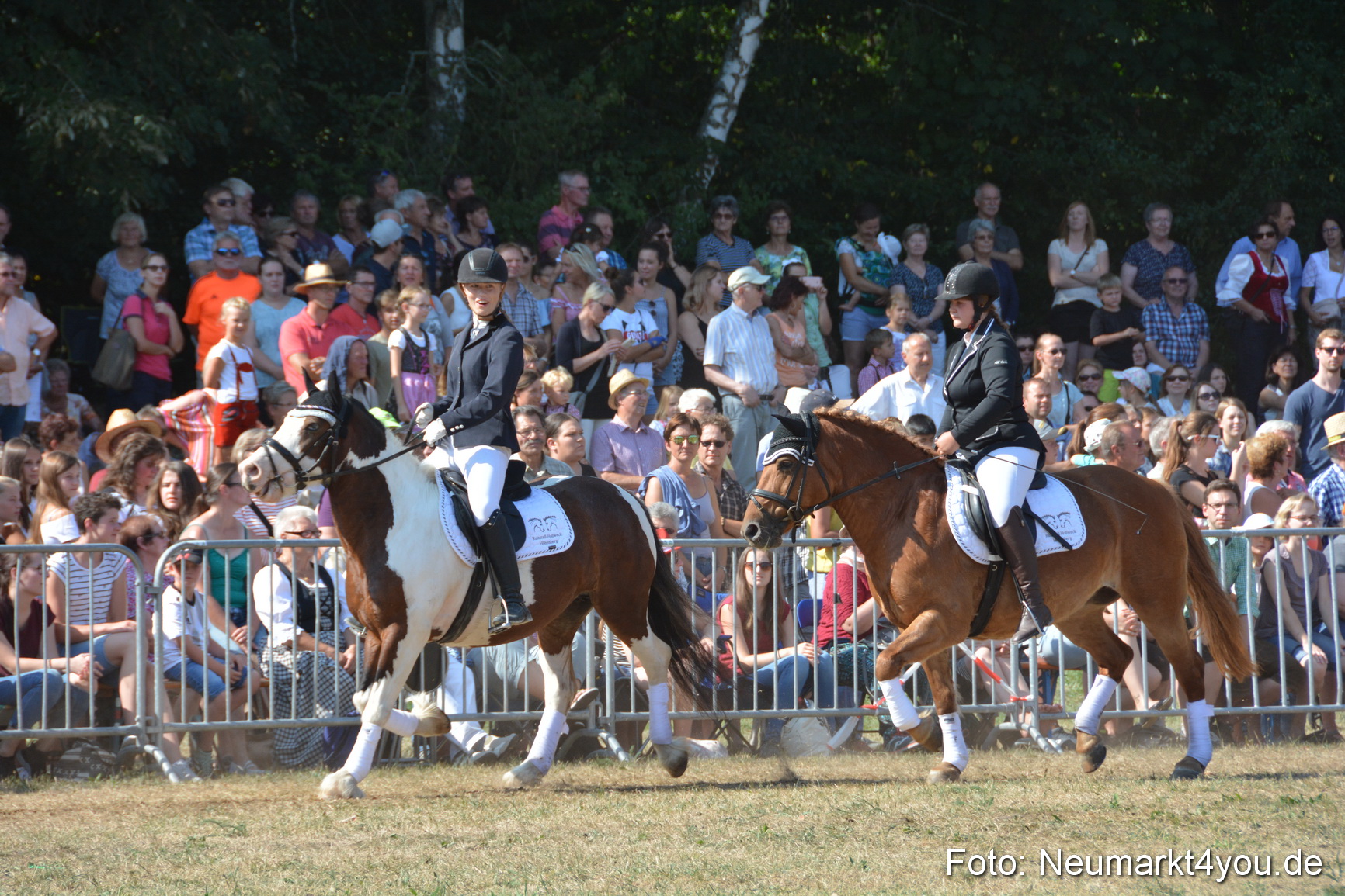 Pferde und Fohlenschau JURA Volksfest 2018 0252