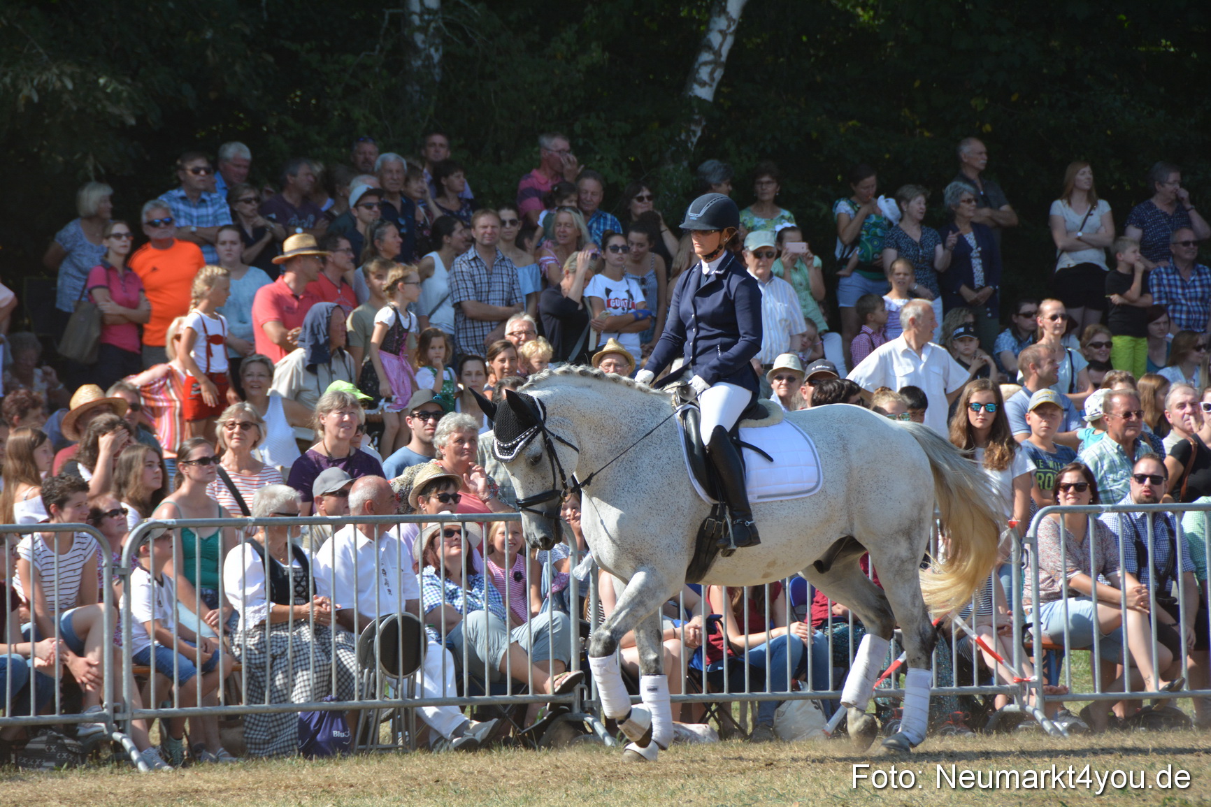 Pferde und Fohlenschau JURA Volksfest 2018 0253