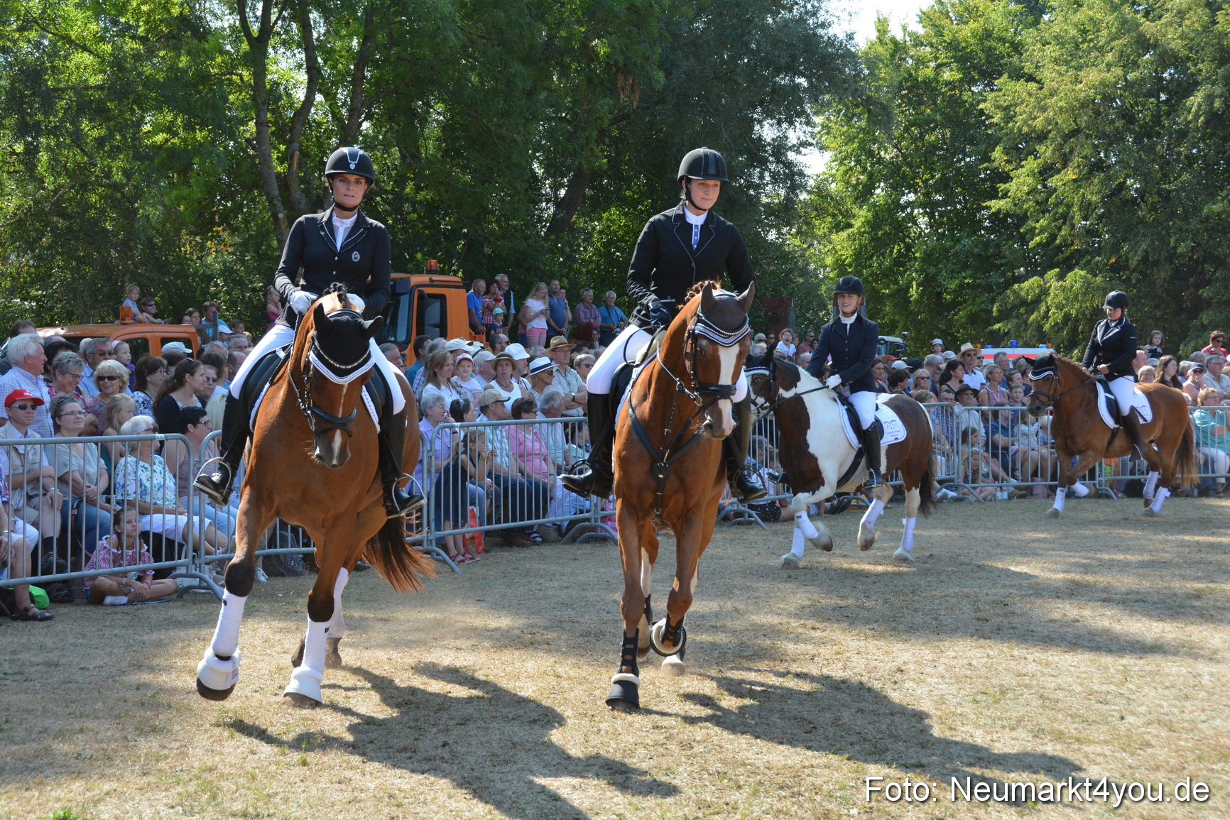 Pferde und Fohlenschau JURA Volksfest 2018 0254