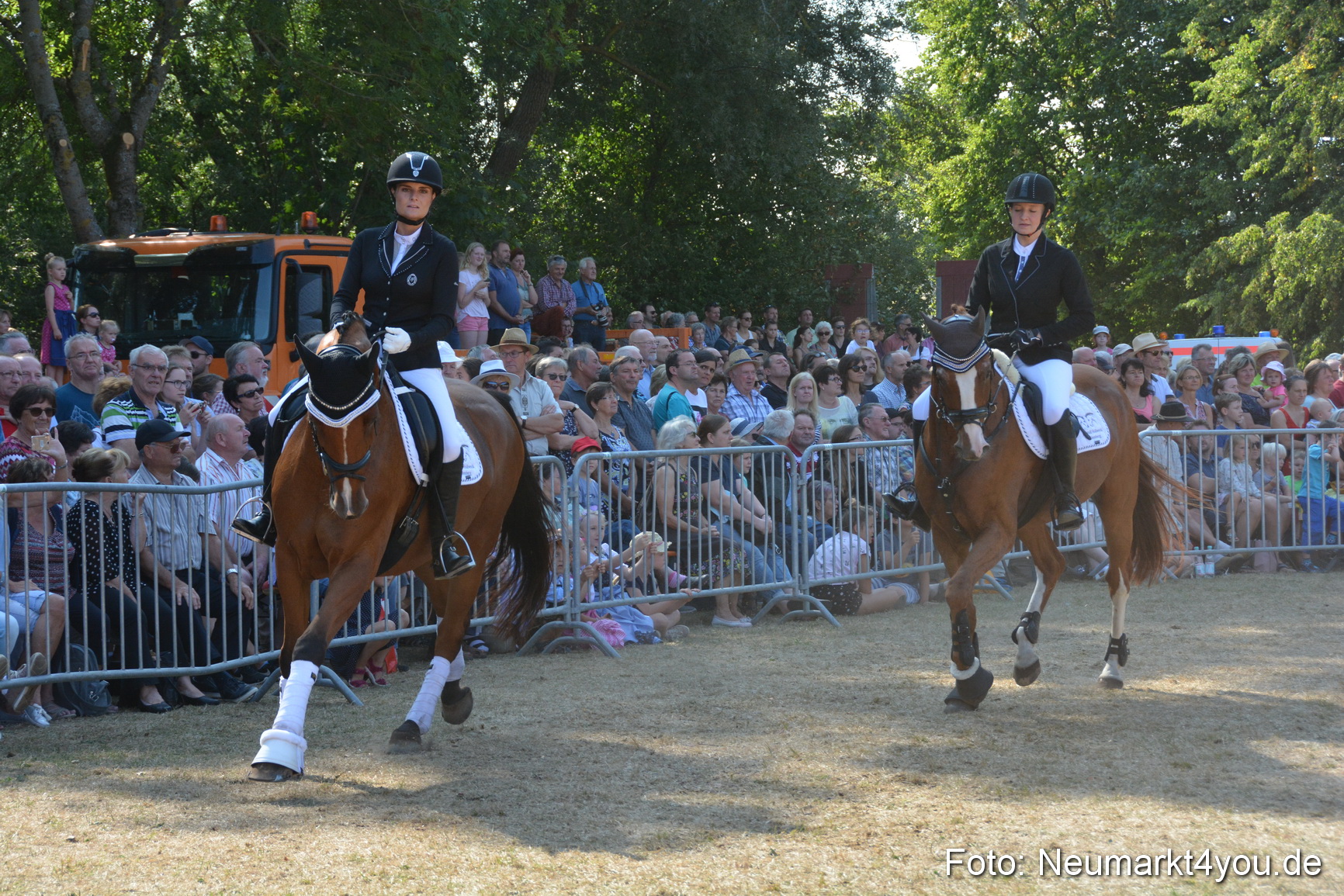 Pferde und Fohlenschau JURA Volksfest 2018 0255