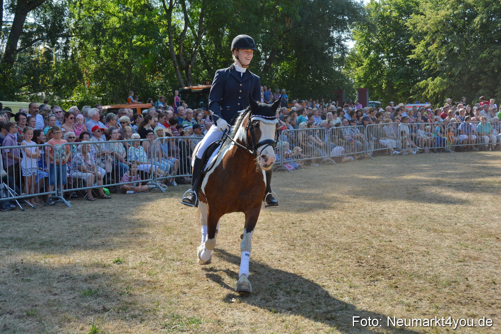 Pferde und Fohlenschau JURA Volksfest 2018 0256