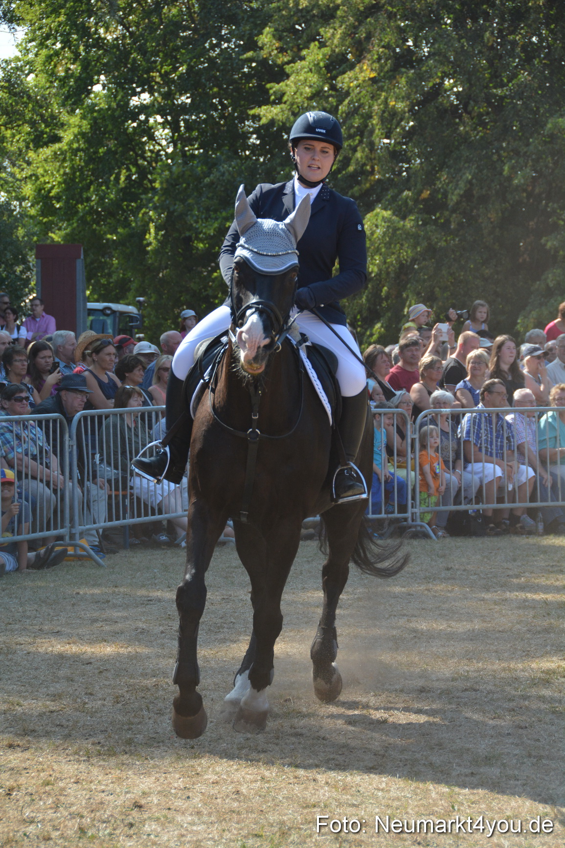 Pferde und Fohlenschau JURA Volksfest 2018 0257
