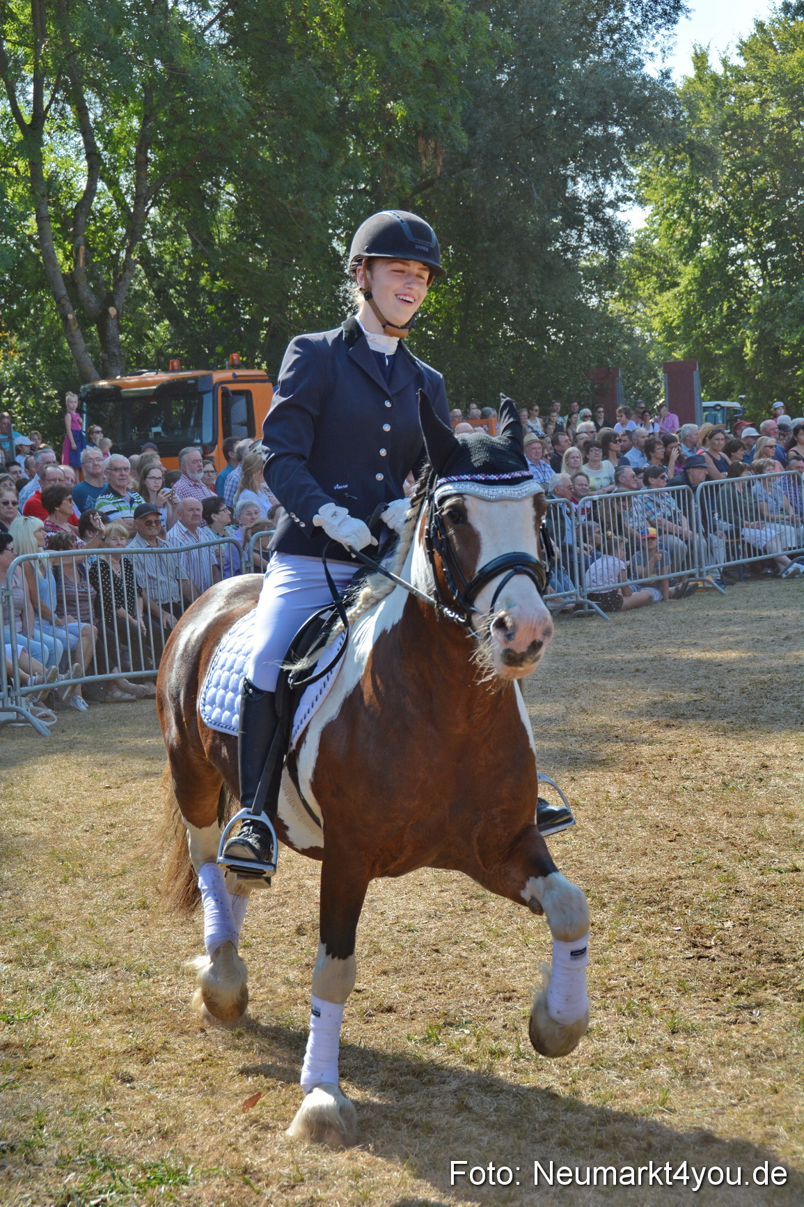 Pferde und Fohlenschau JURA Volksfest 2018 0258