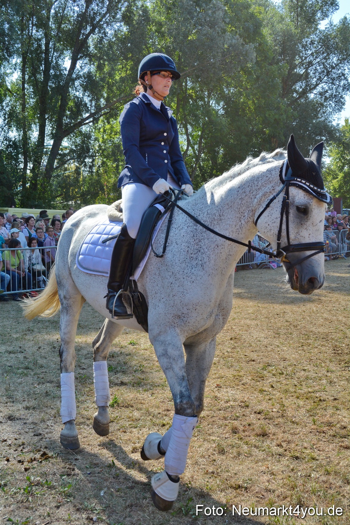 Pferde und Fohlenschau JURA Volksfest 2018 0259