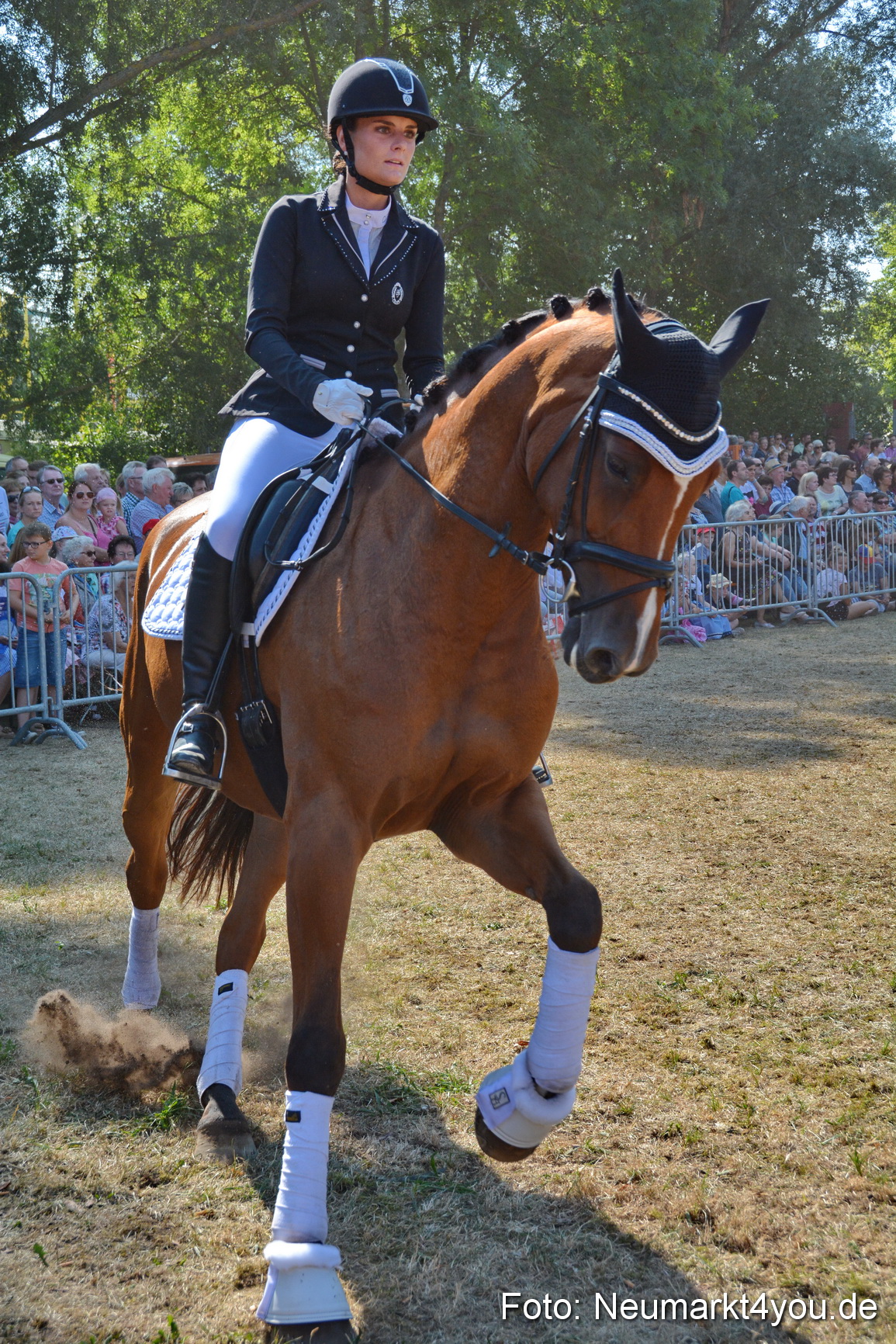 Pferde und Fohlenschau JURA Volksfest 2018 0260