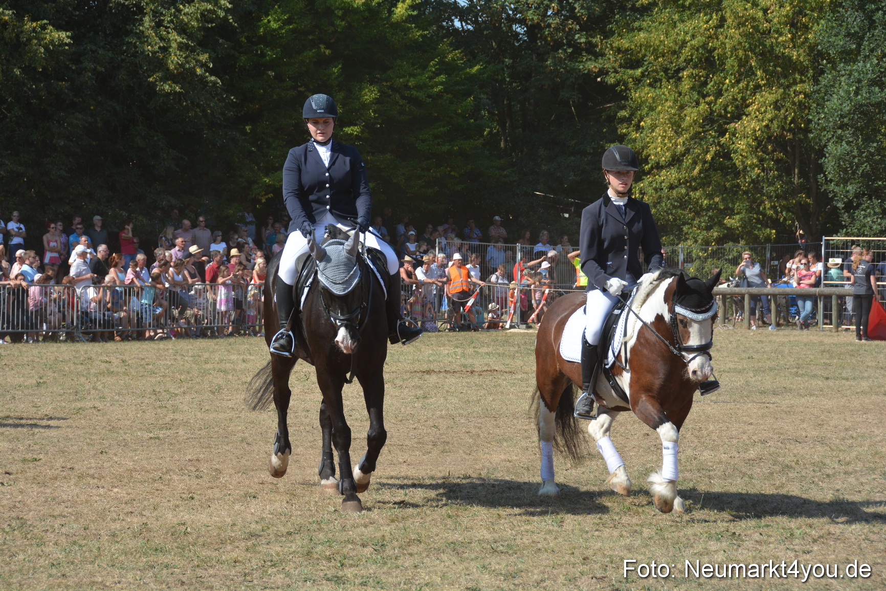 Pferde und Fohlenschau JURA Volksfest 2018 0261