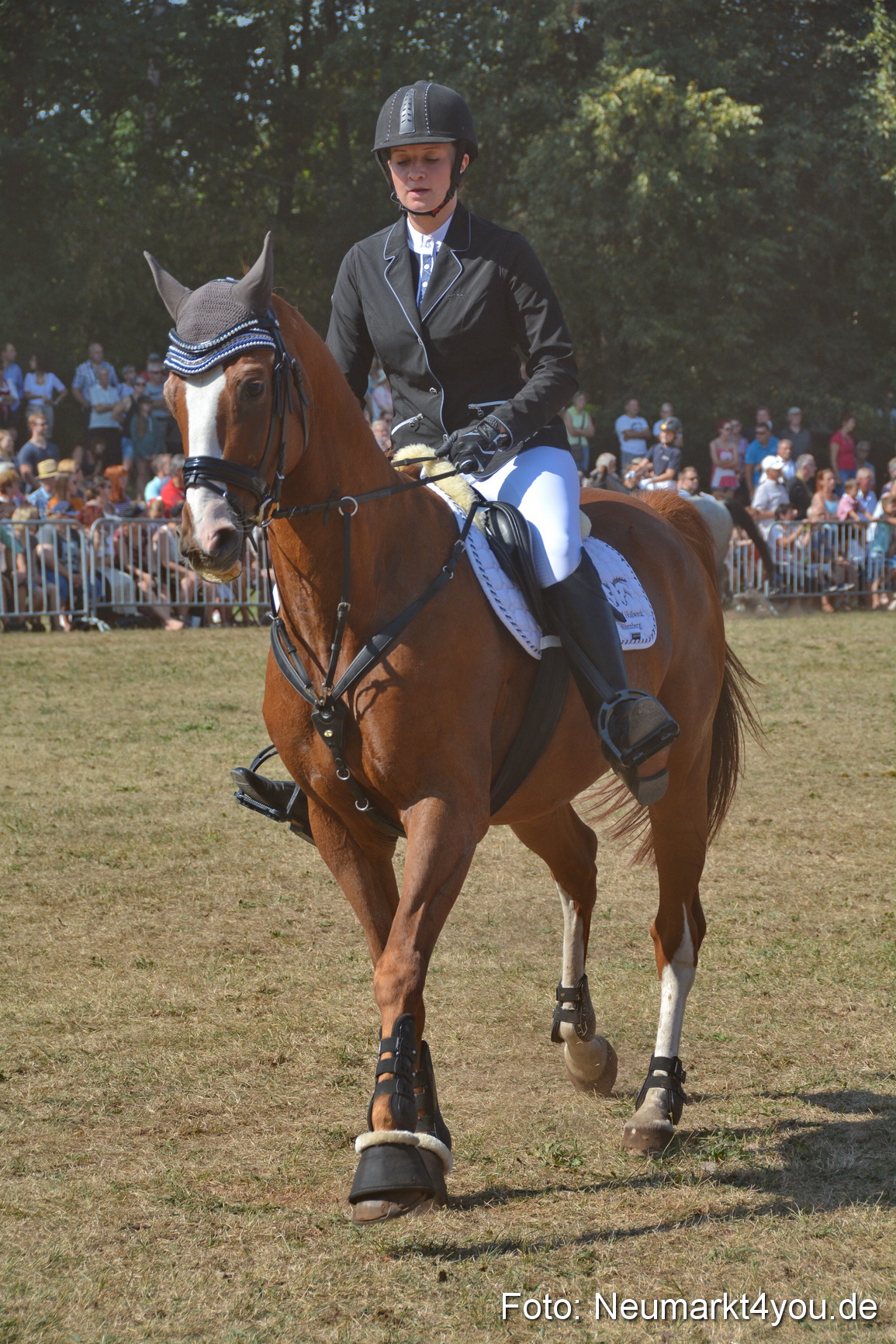 Pferde und Fohlenschau JURA Volksfest 2018 0262