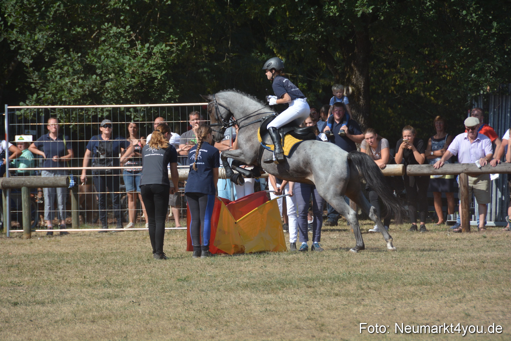 Pferde und Fohlenschau JURA Volksfest 2018 0263