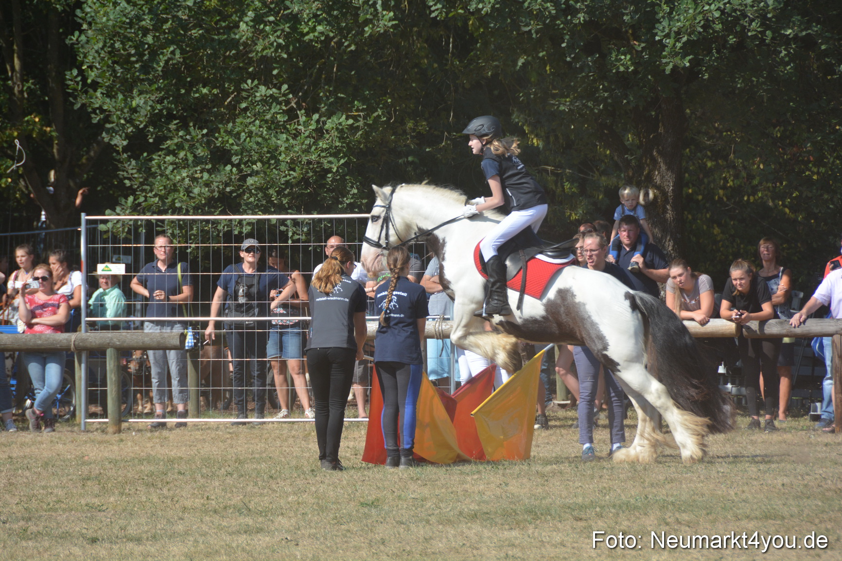 Pferde und Fohlenschau JURA Volksfest 2018 0264