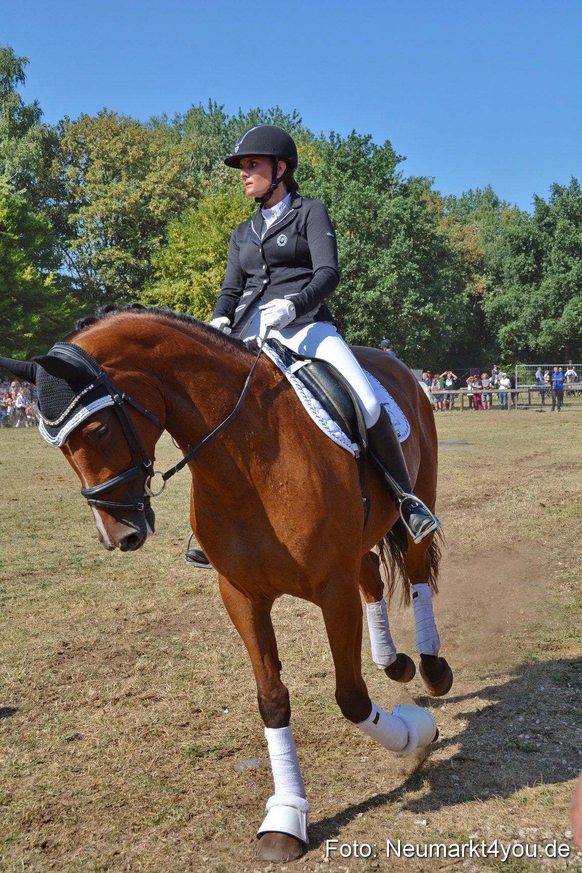 Pferde und Fohlenschau JURA Volksfest 2018 0265