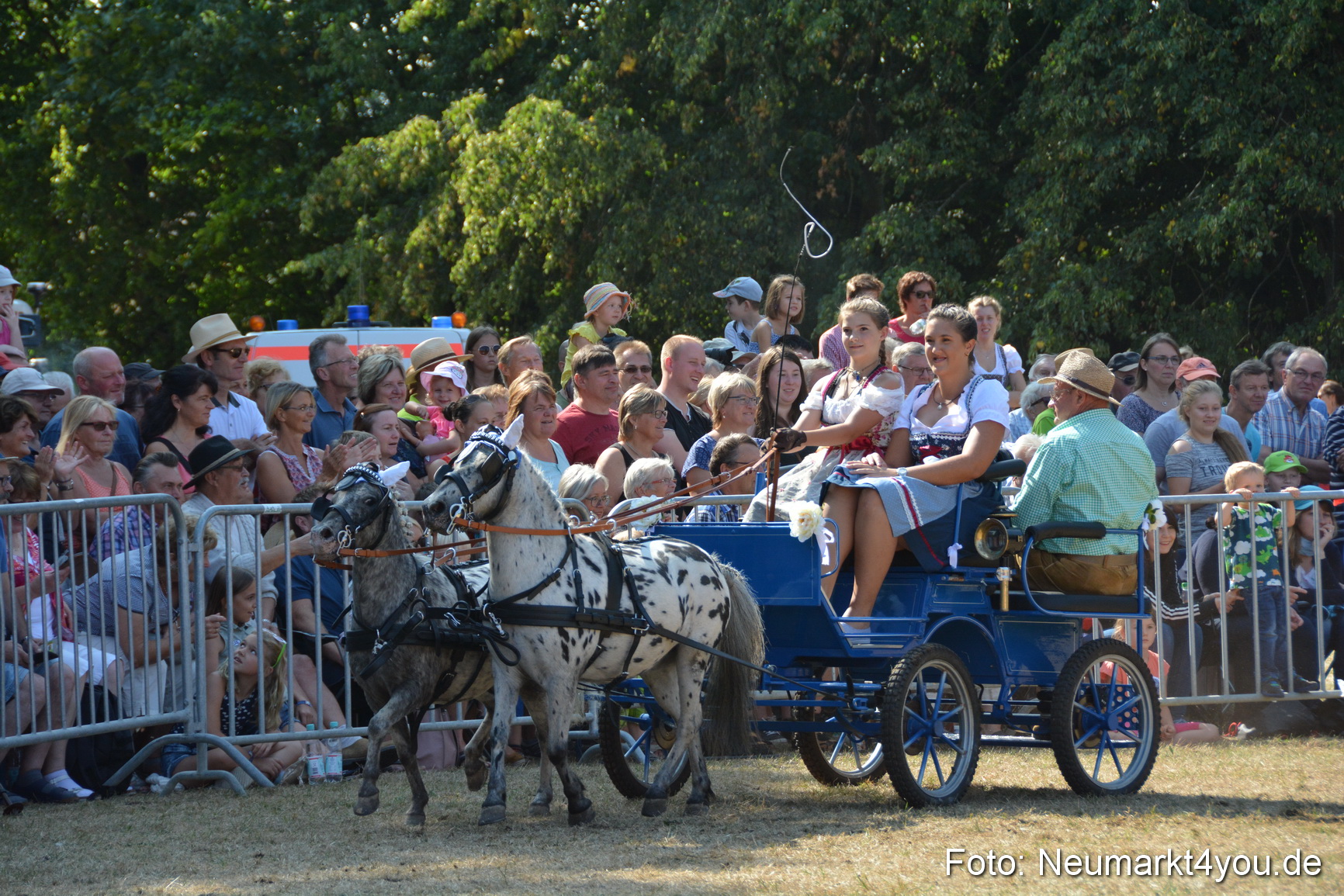 Pferde und Fohlenschau JURA Volksfest 2018 0266