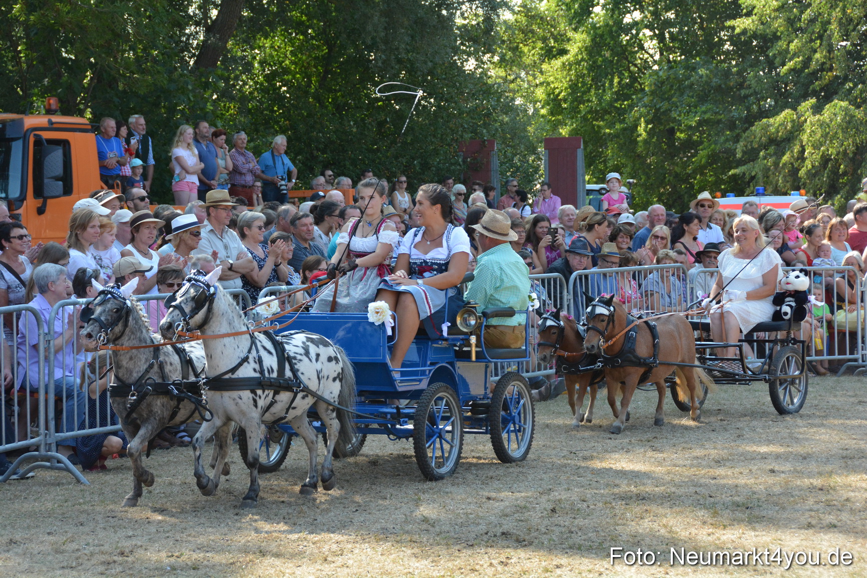 Pferde und Fohlenschau JURA Volksfest 2018 0267