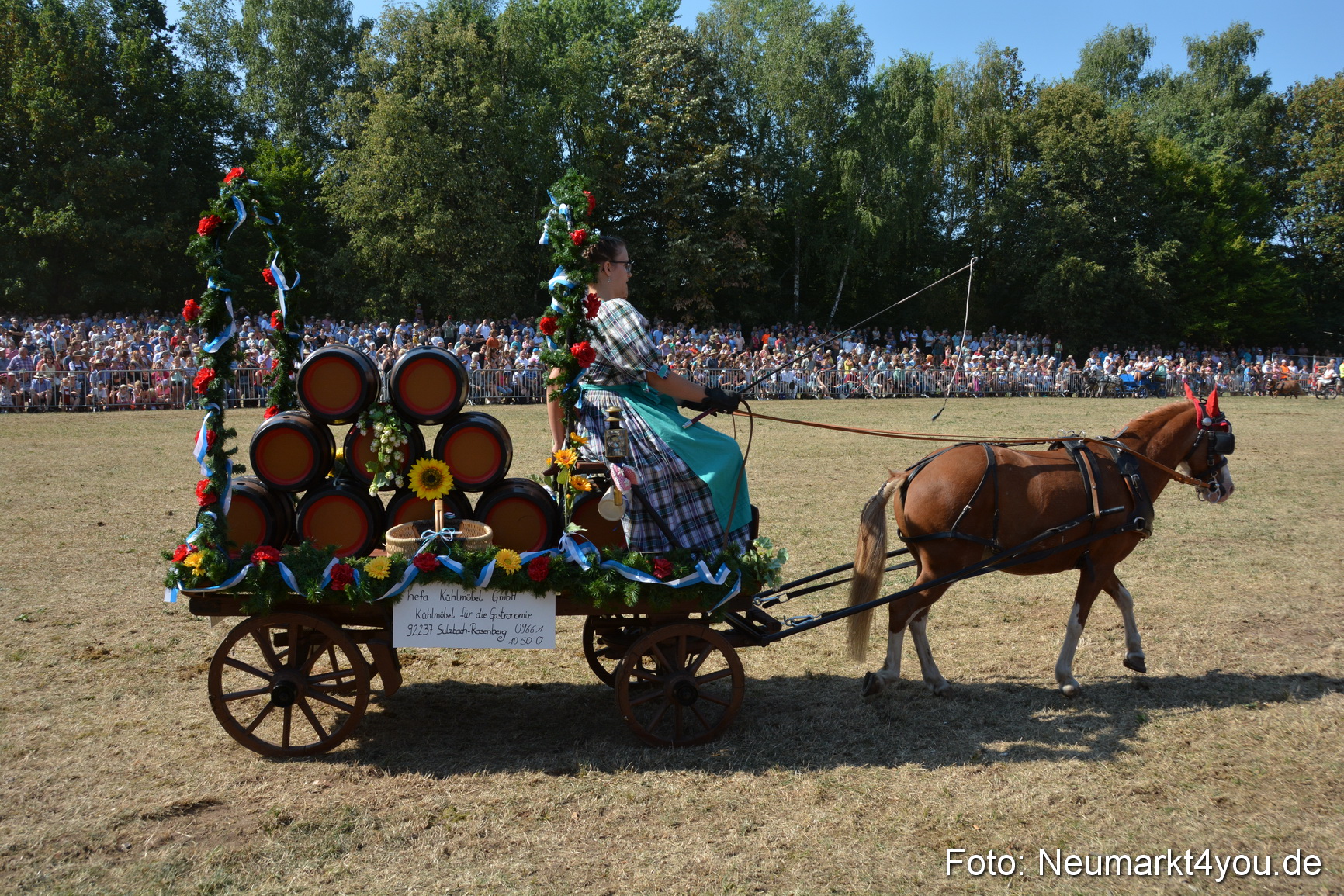 Pferde und Fohlenschau JURA Volksfest 2018 0269