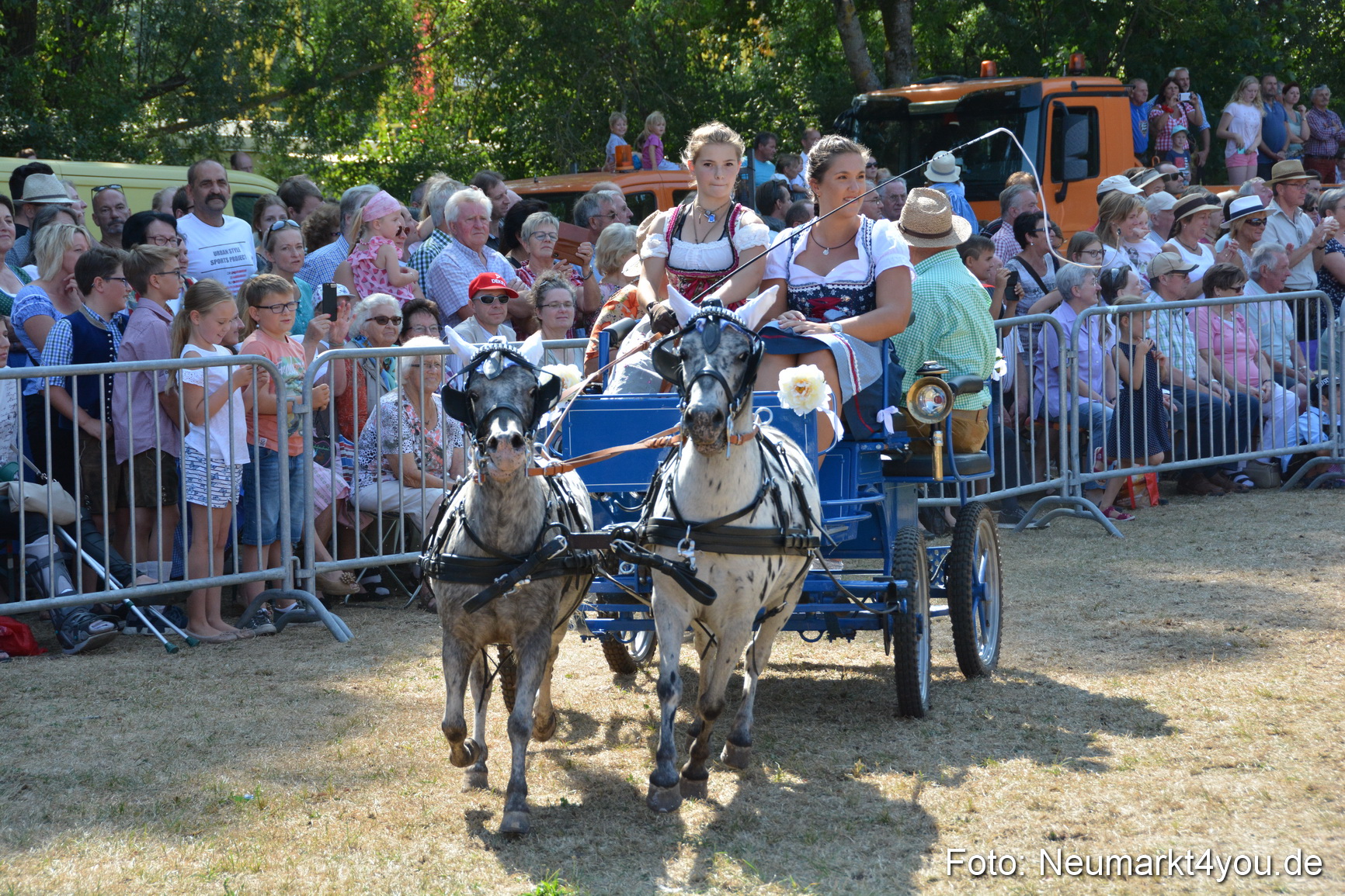 Pferde und Fohlenschau JURA Volksfest 2018 0270