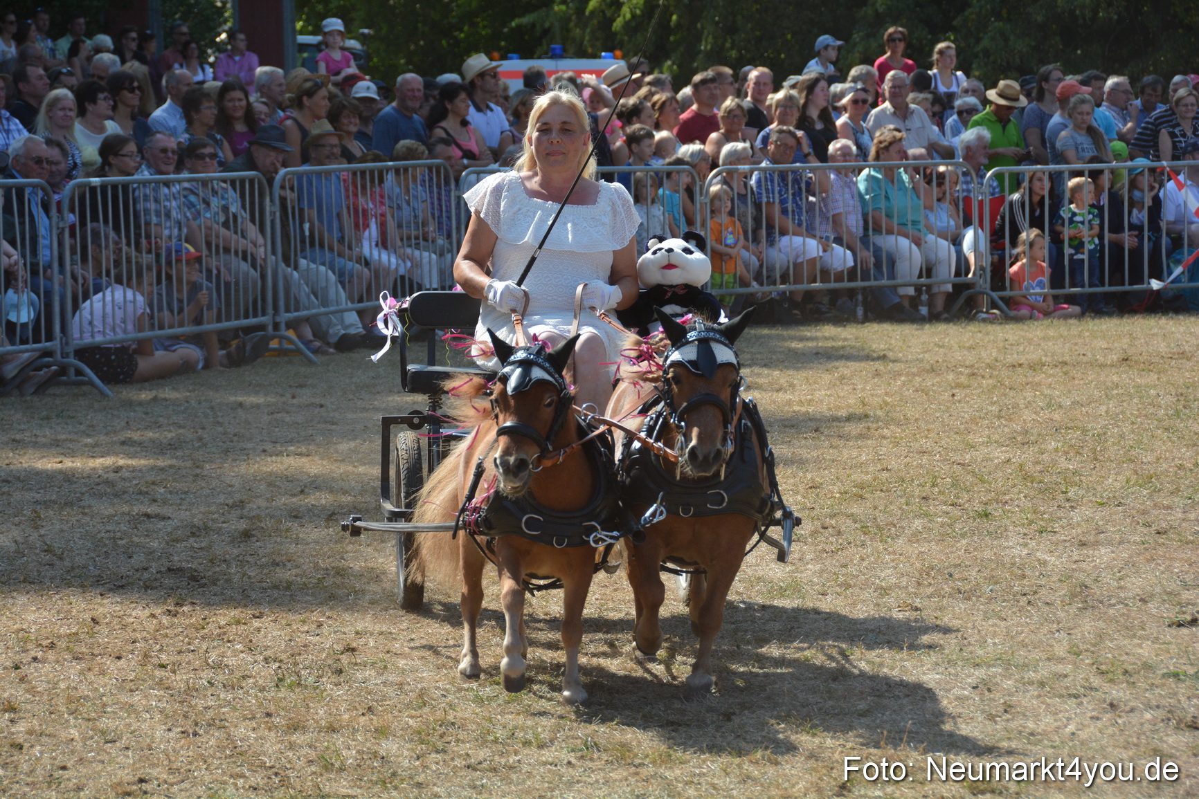 Pferde und Fohlenschau JURA Volksfest 2018 0271