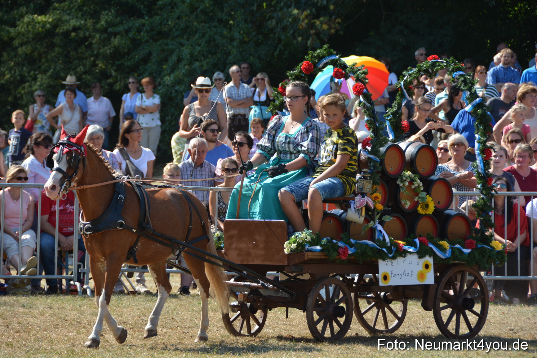 Pferde und Fohlenschau JURA Volksfest 2018 0273