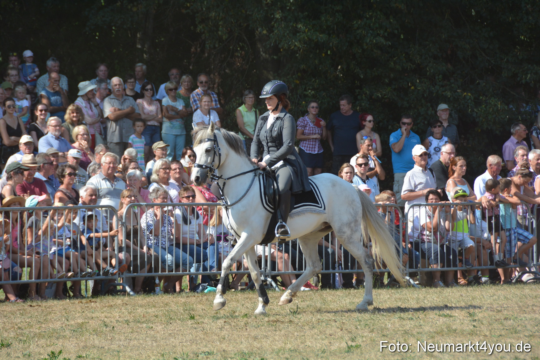 Pferde und Fohlenschau JURA Volksfest 2018 0275